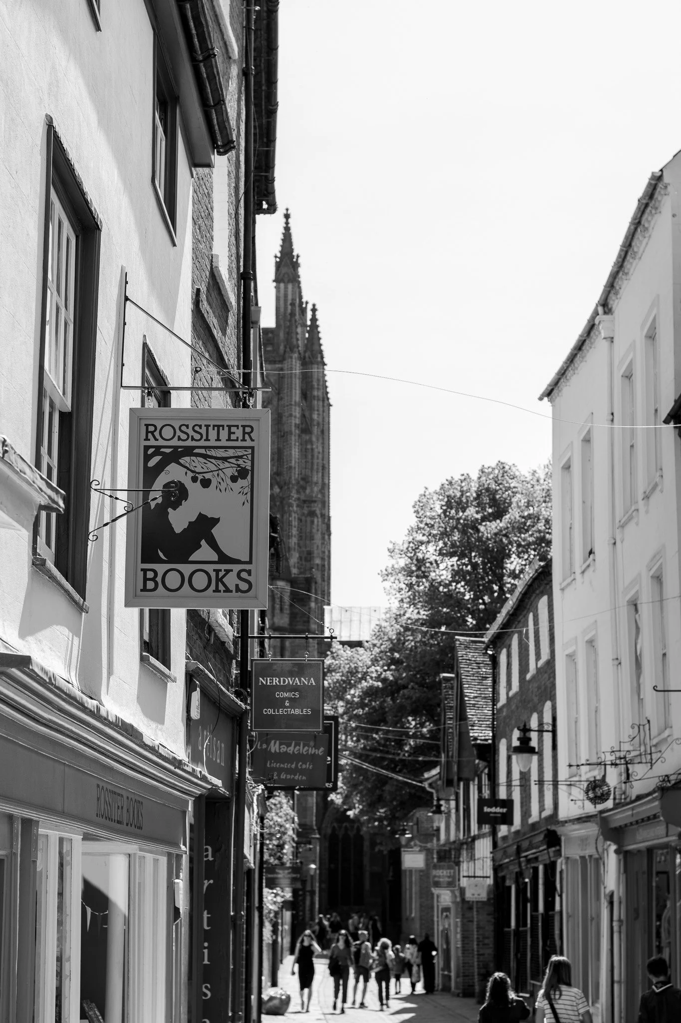 DSC_0236.jpg