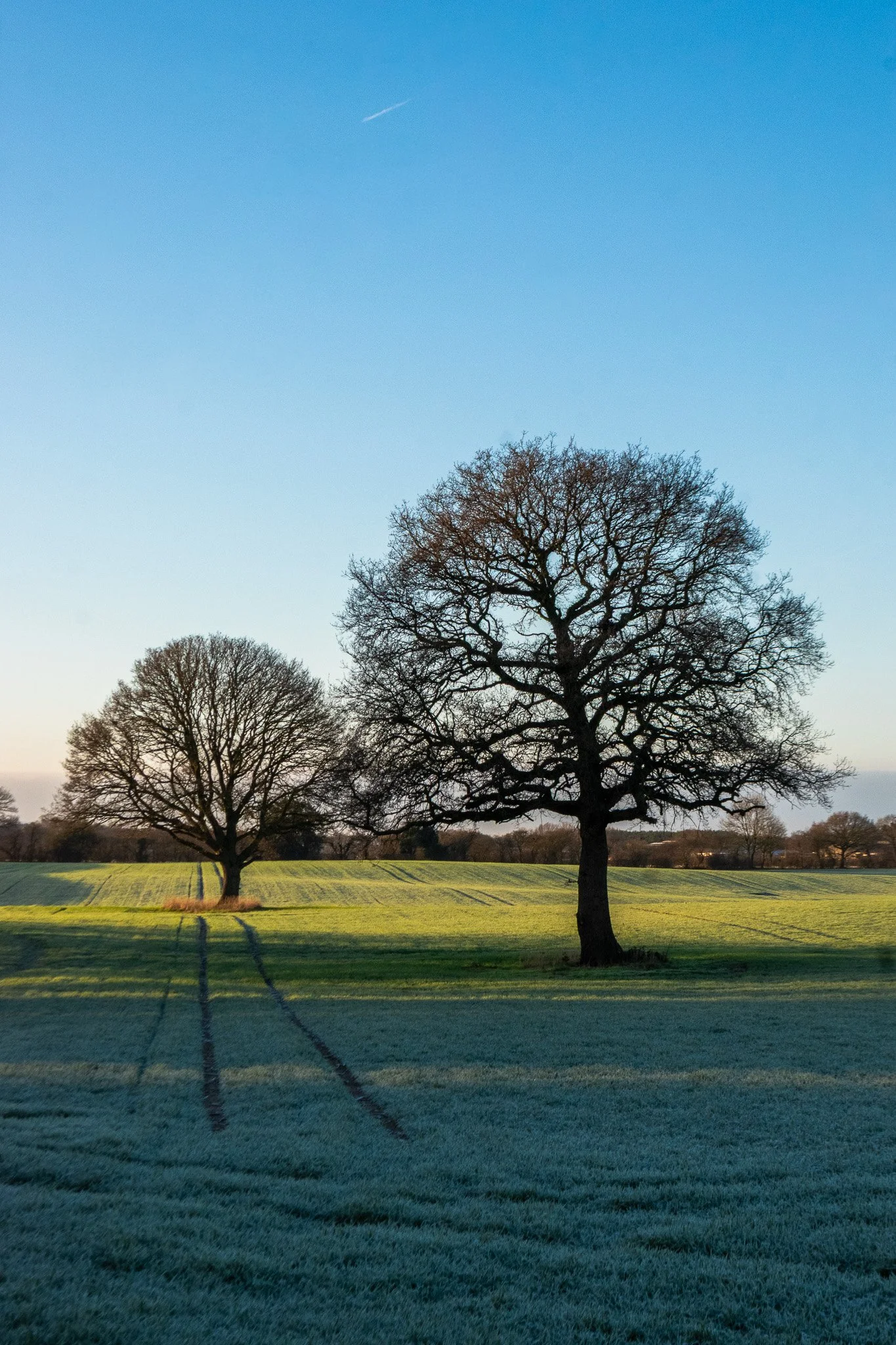 DSC_0306.jpg