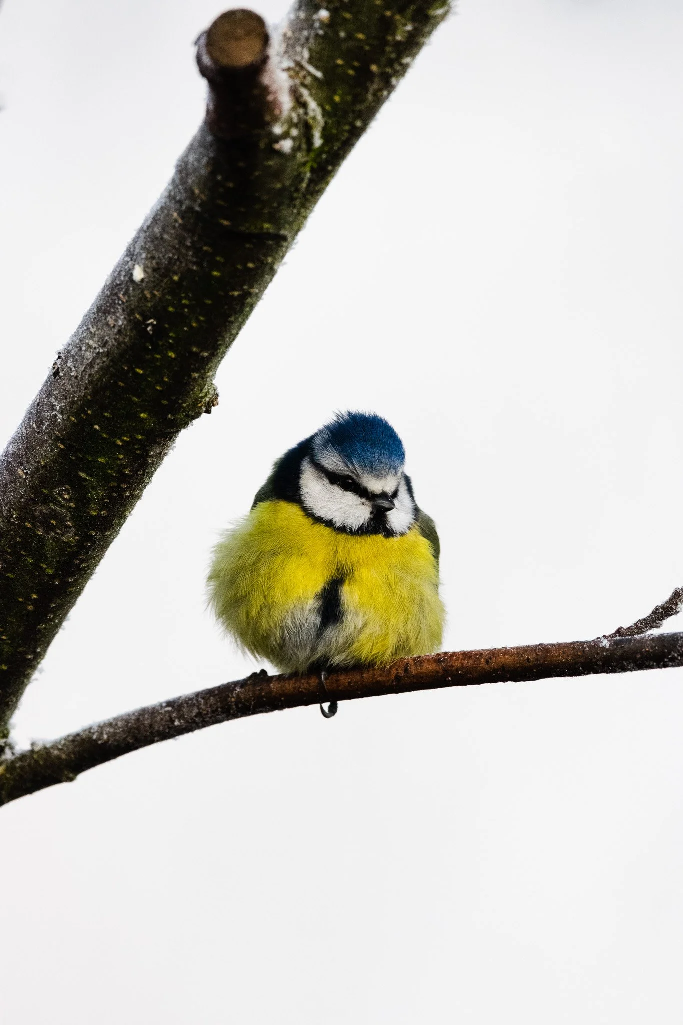DSC_0358.jpg