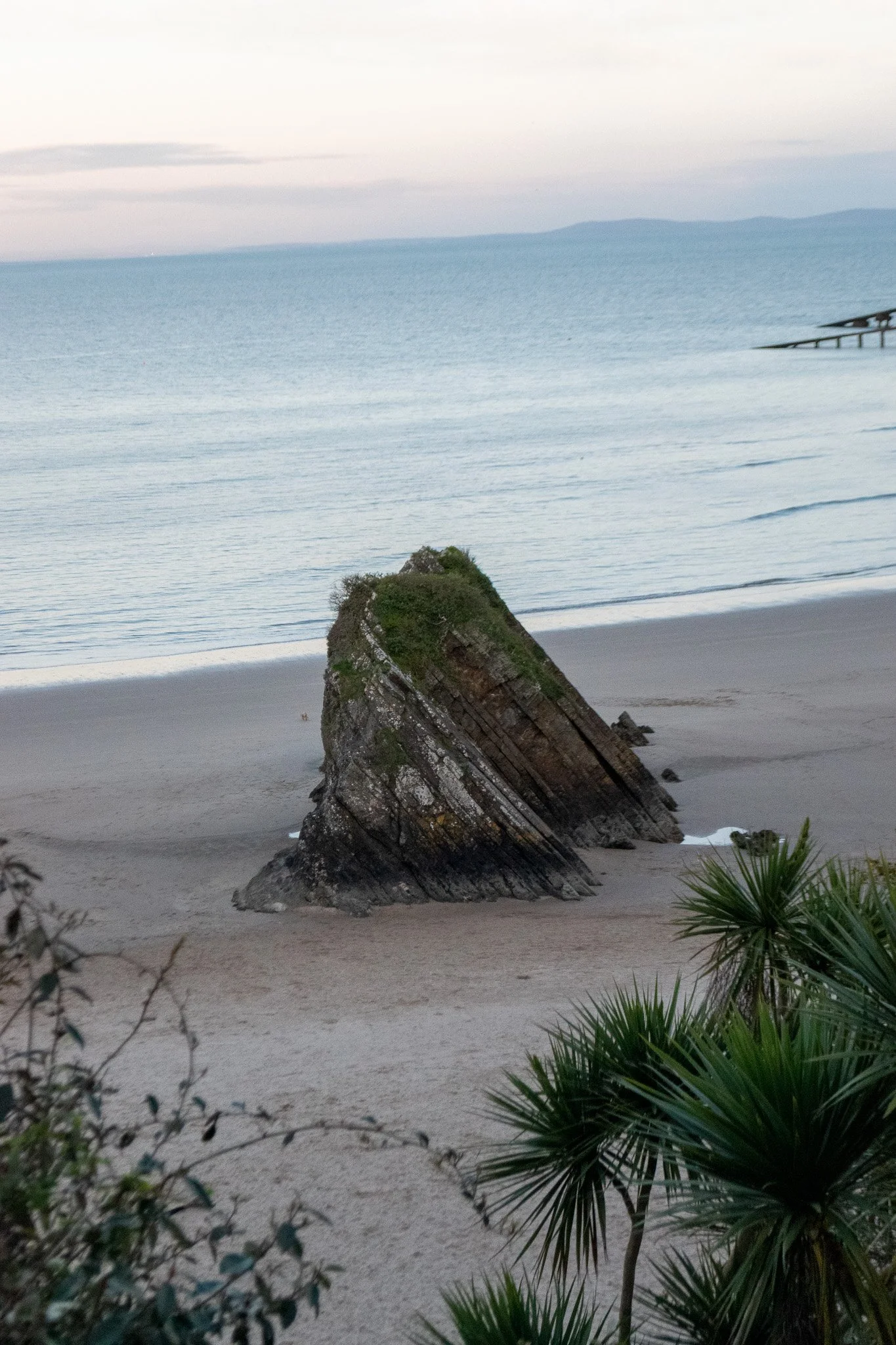 DSC_0390.jpg