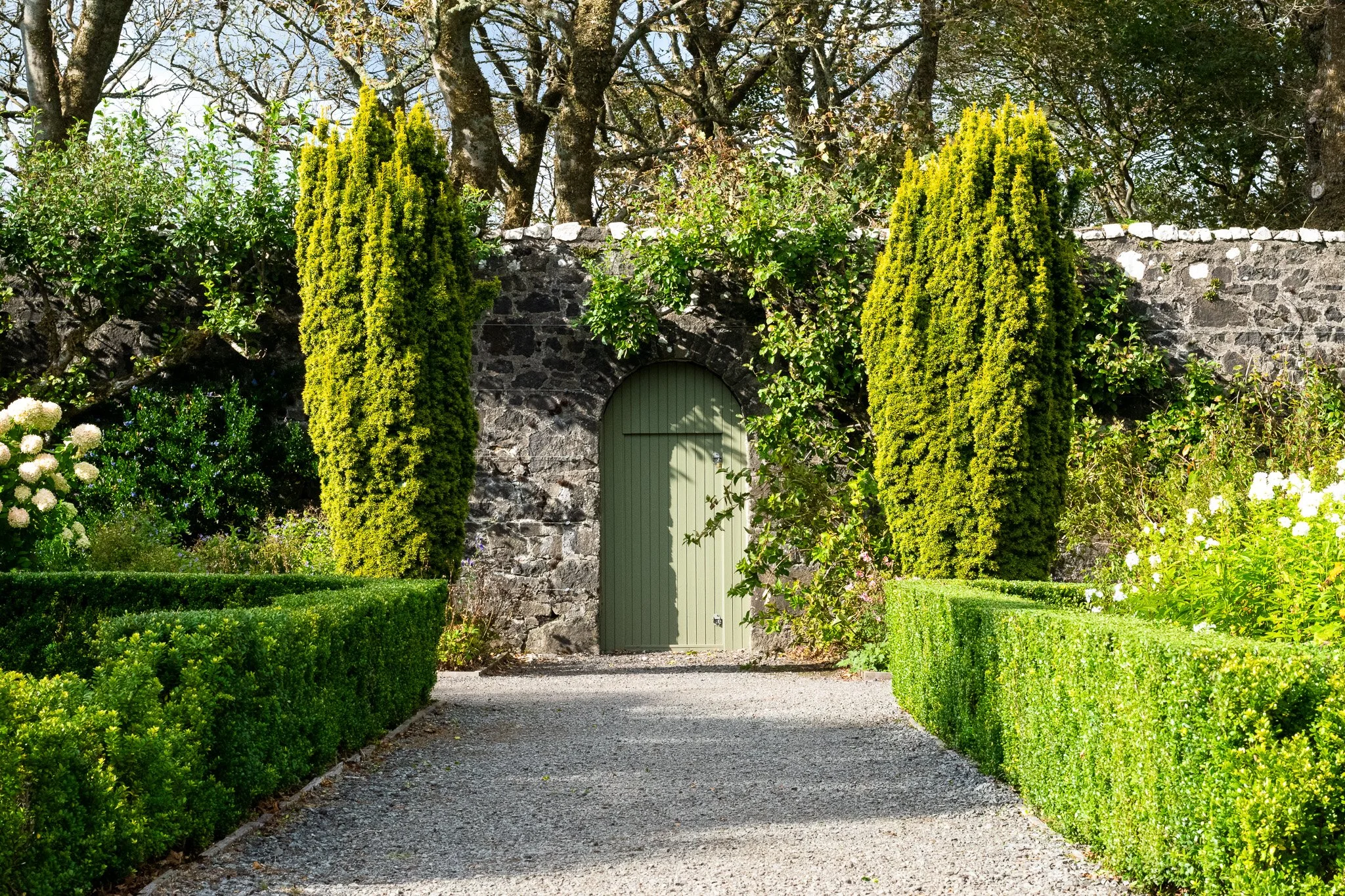 DSC_0969.jpg