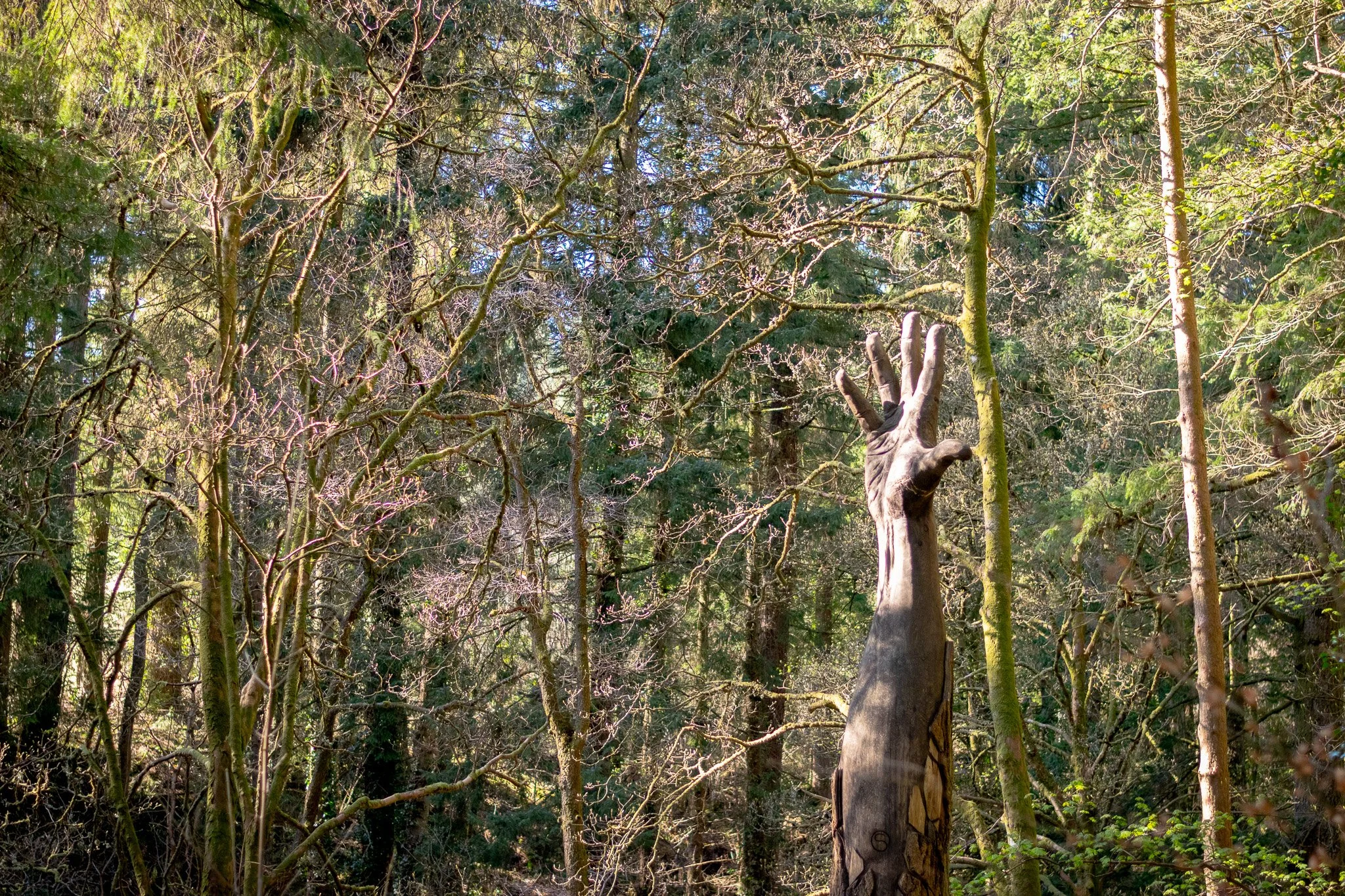 DSC_0120.jpg