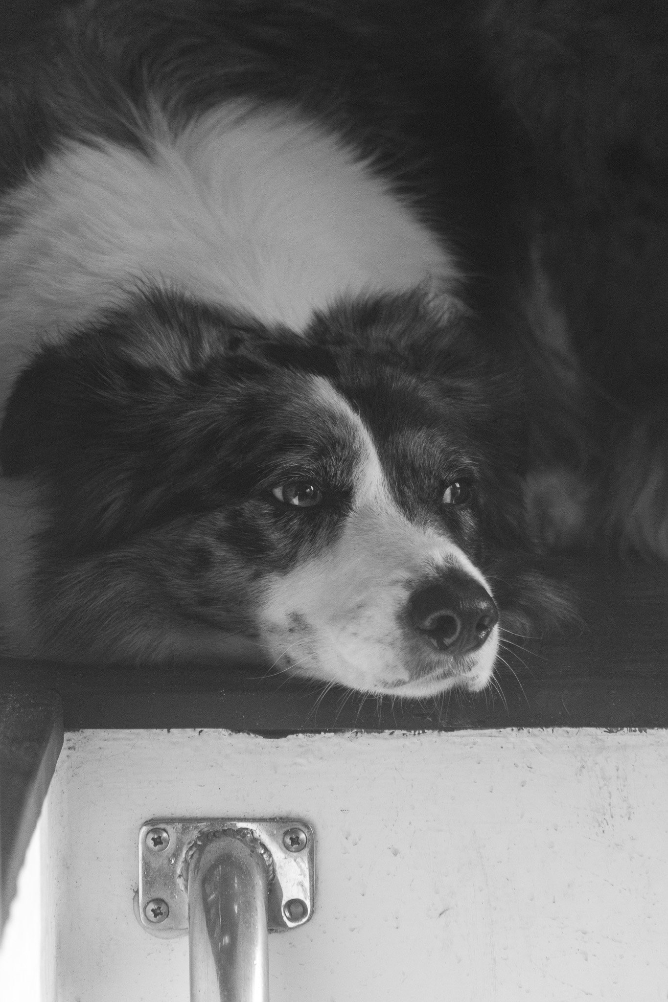 DSC_0464.jpg