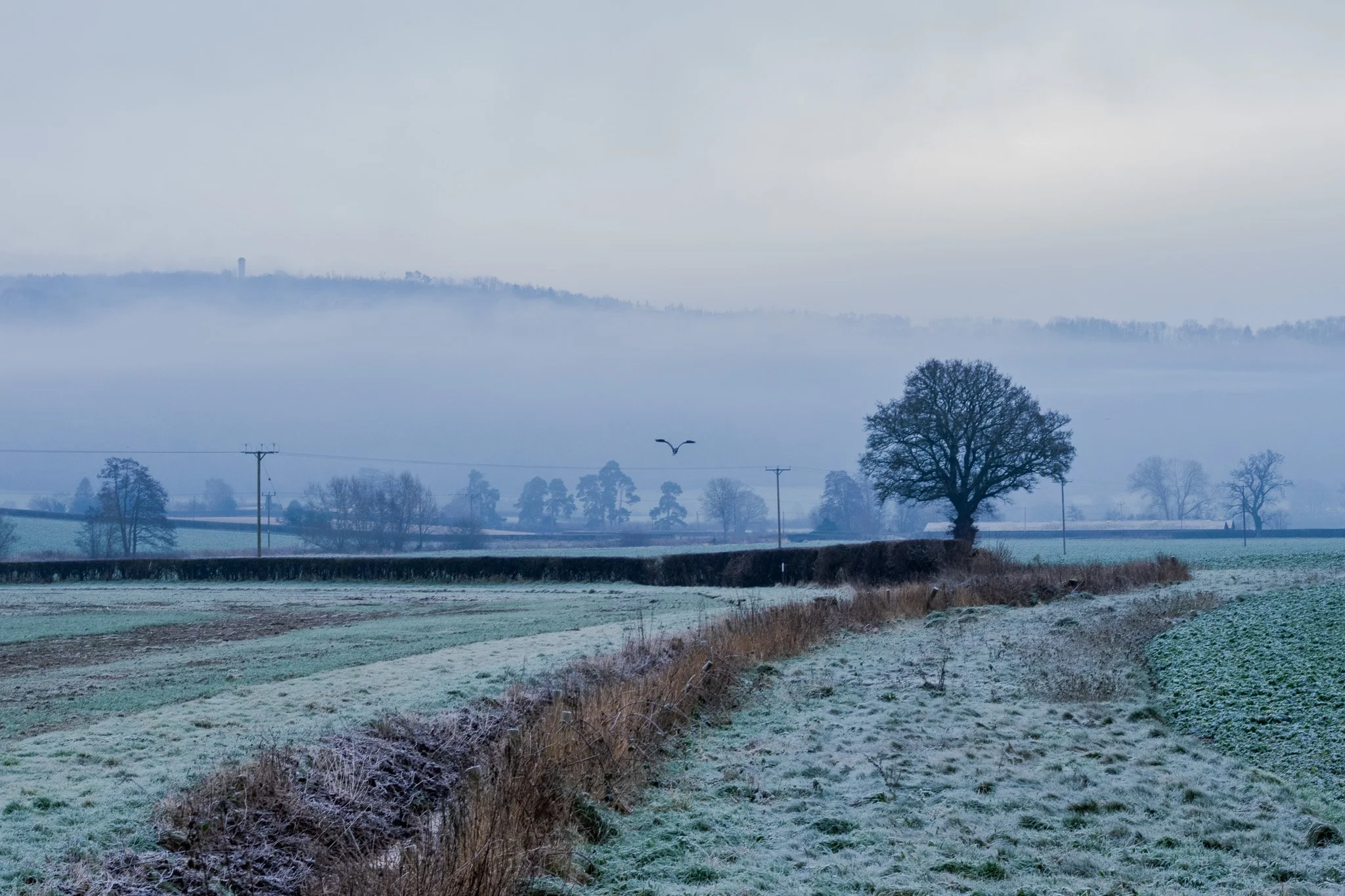 DSC_0344.jpg