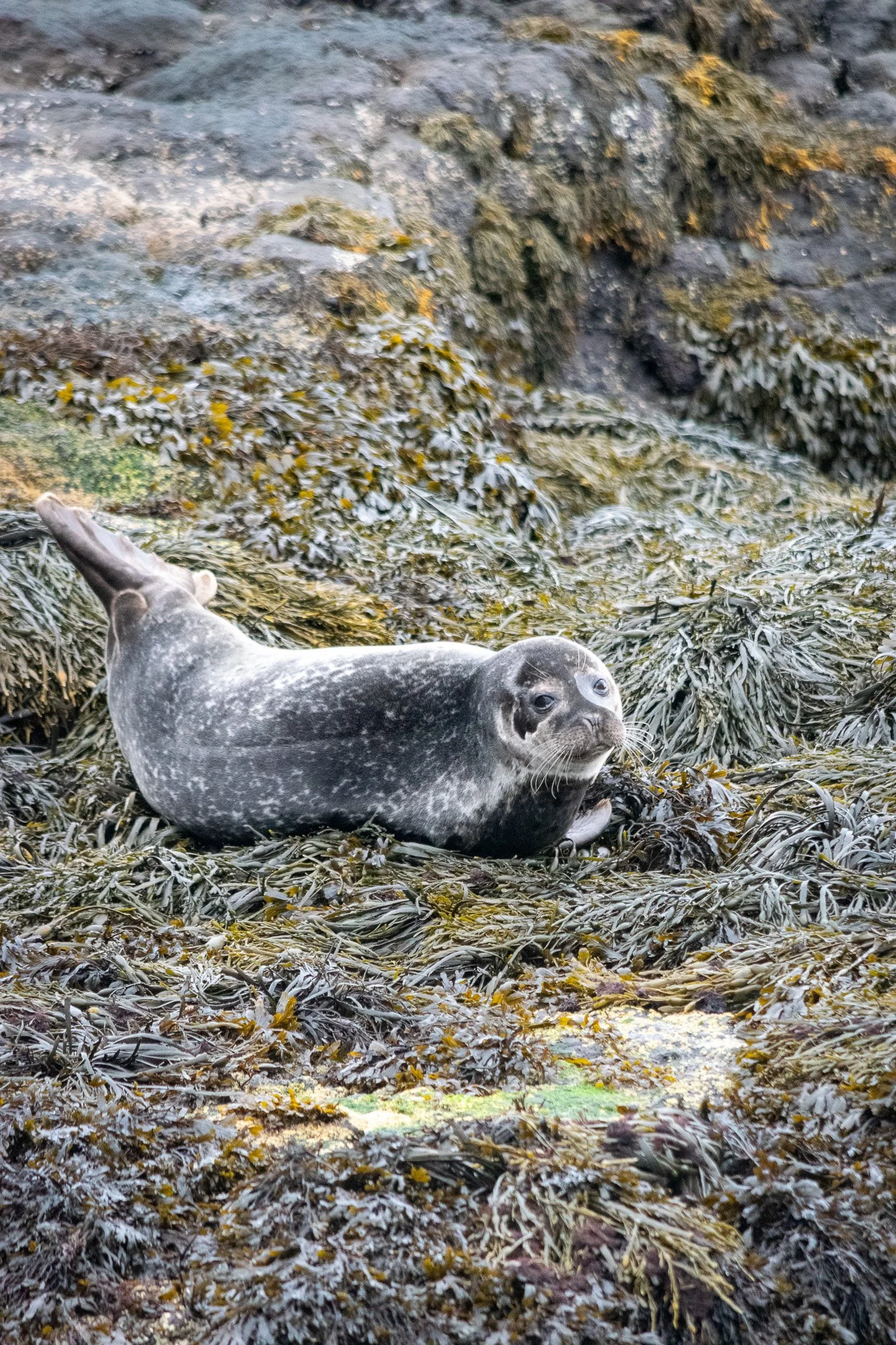DSC_0407.jpg