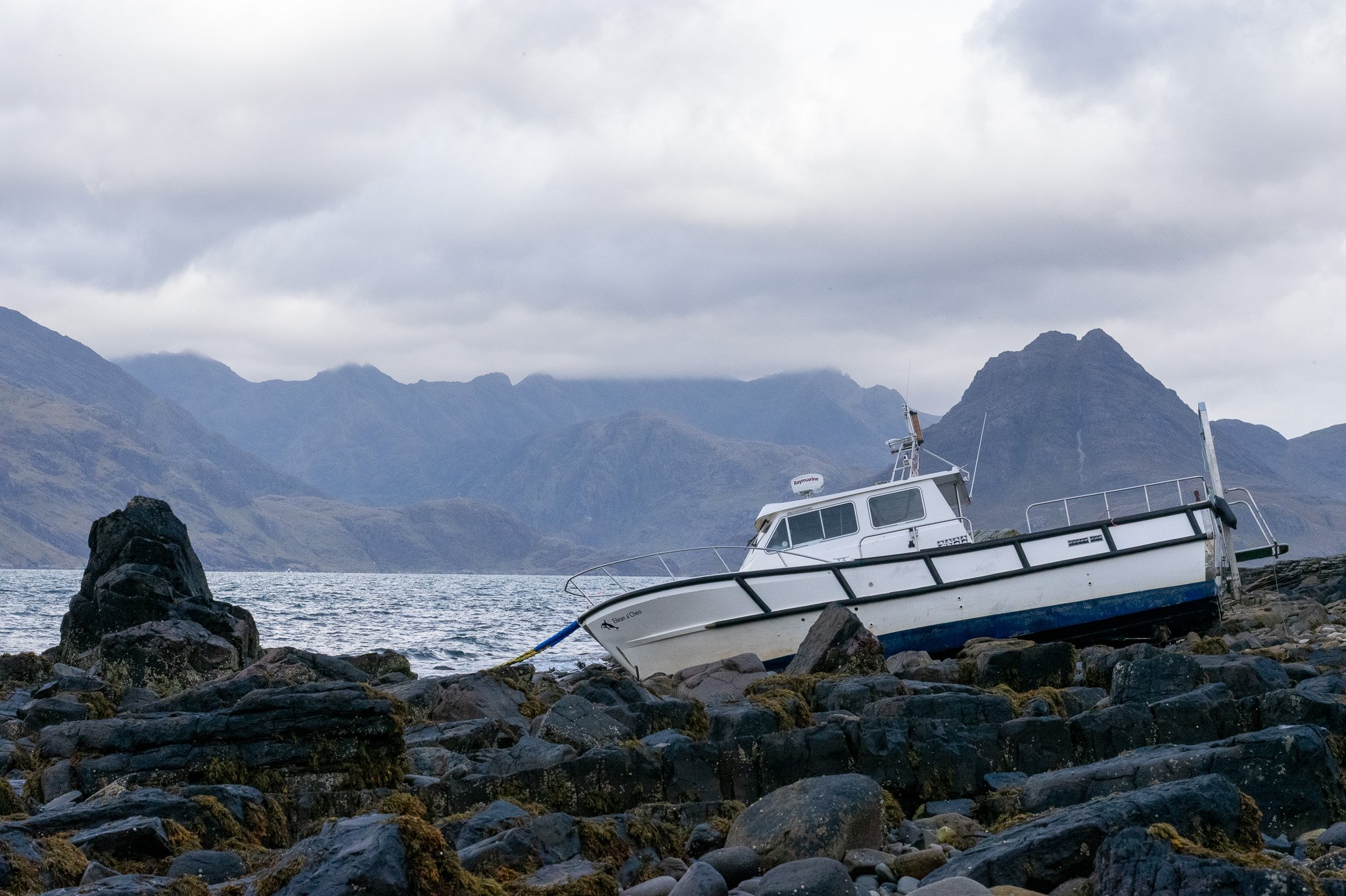 DSC_0099-2.jpg