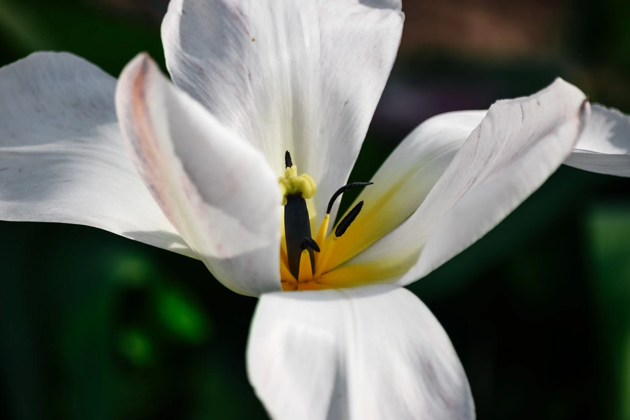 DSC_0352.jpg