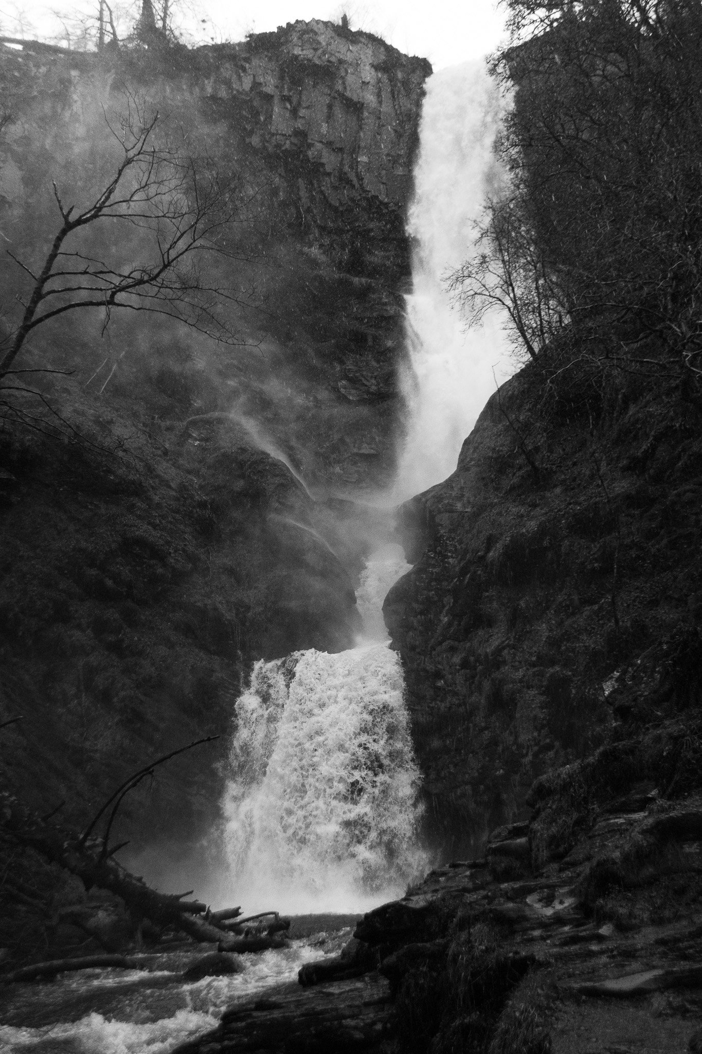 DSC_0074.jpg