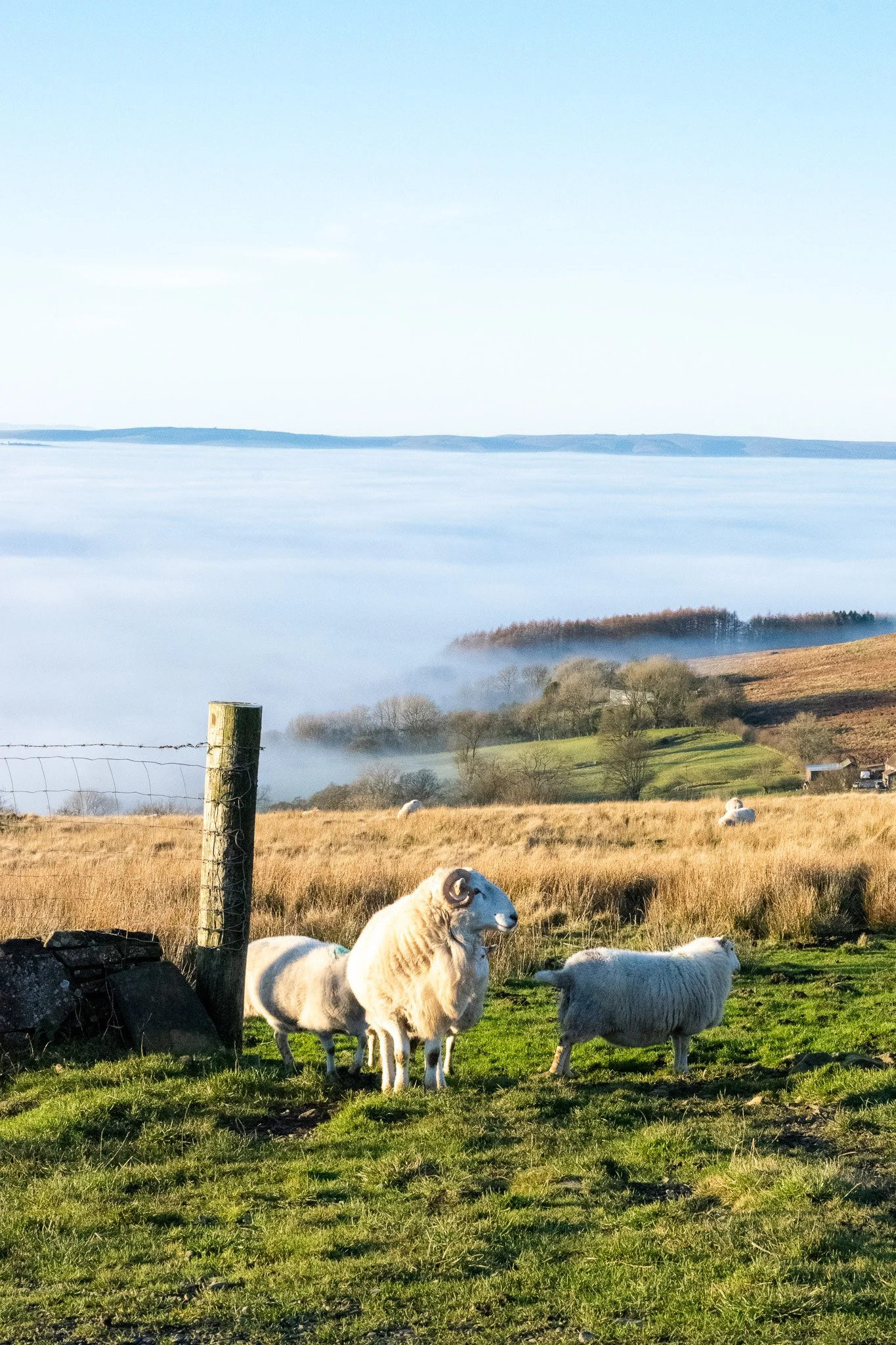 DSC_0443.jpg