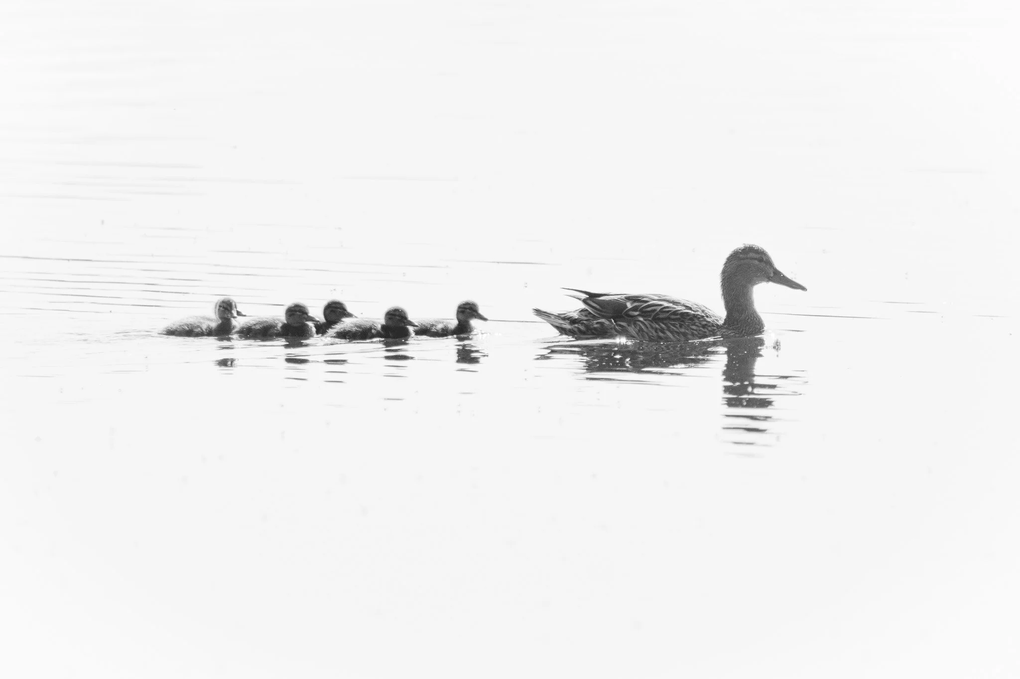 DSC_0317.jpg