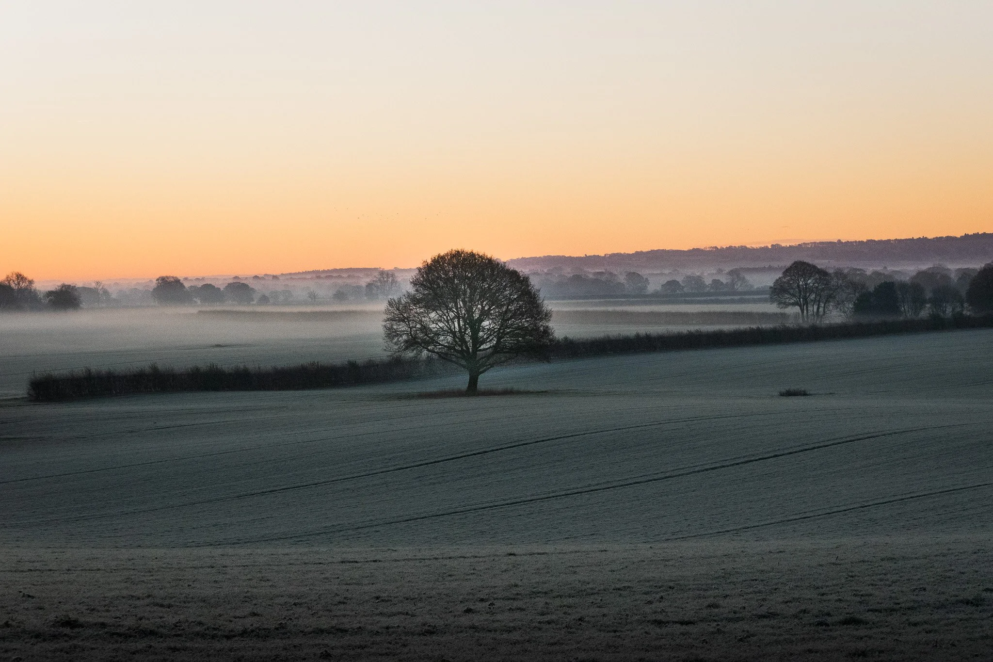 DSC_0307.jpg