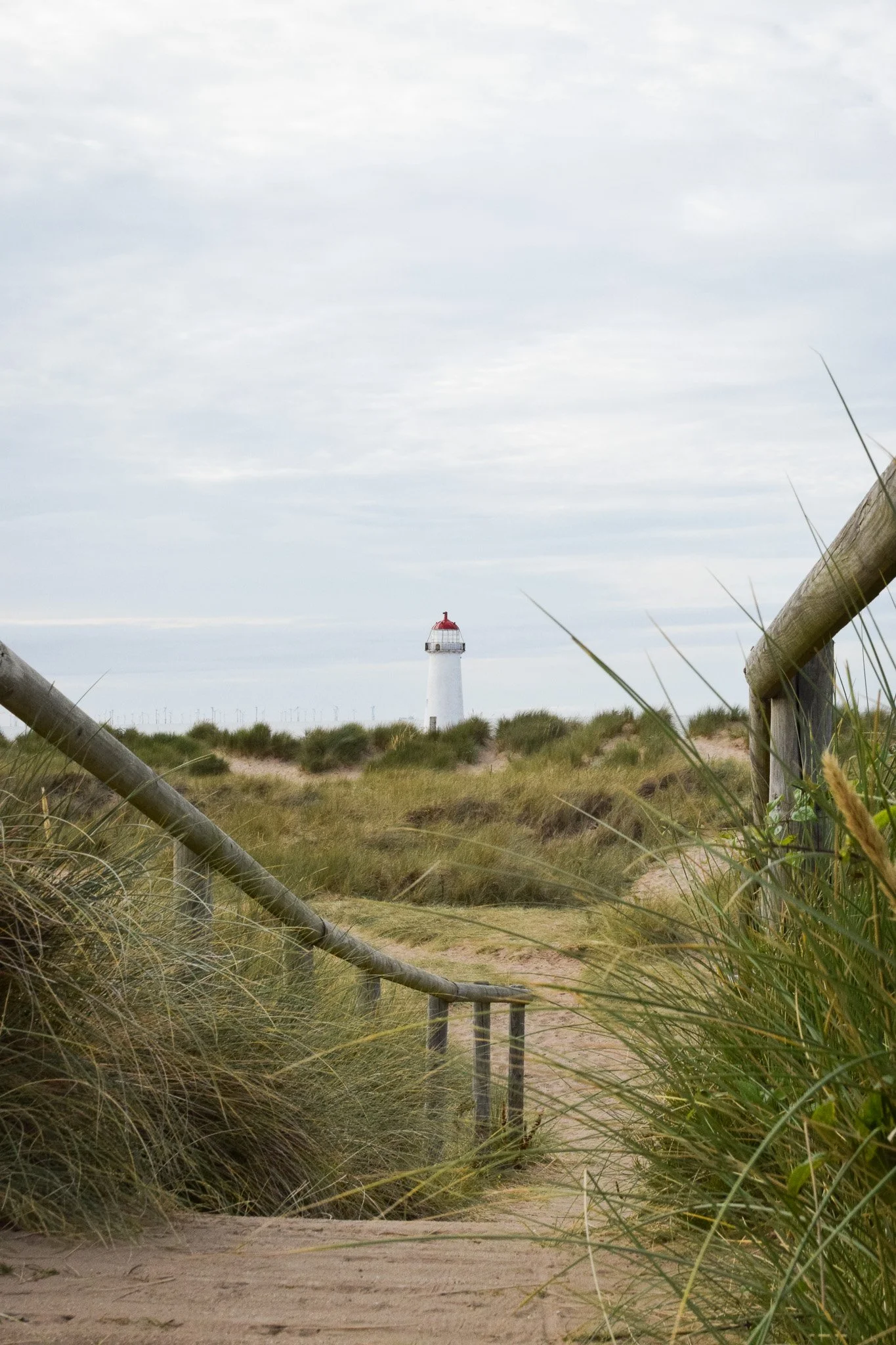 DSC_0135.jpg