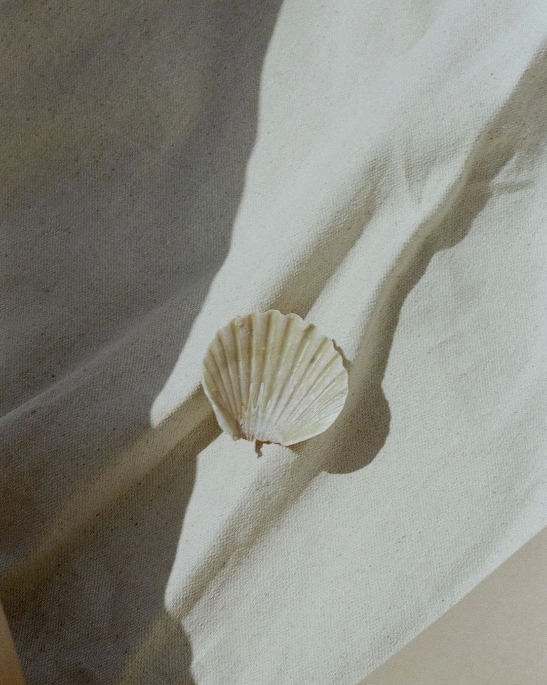 Listening to Your Inner Tide