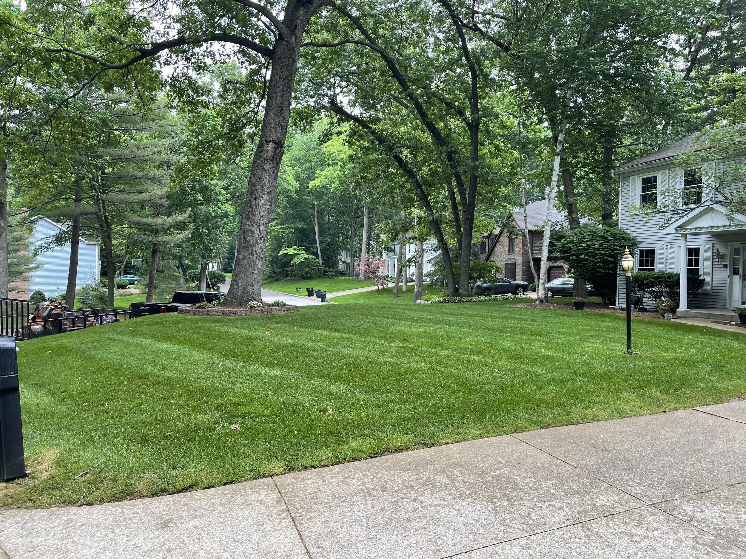 Striped Lawn Mowing — Southern Delaware