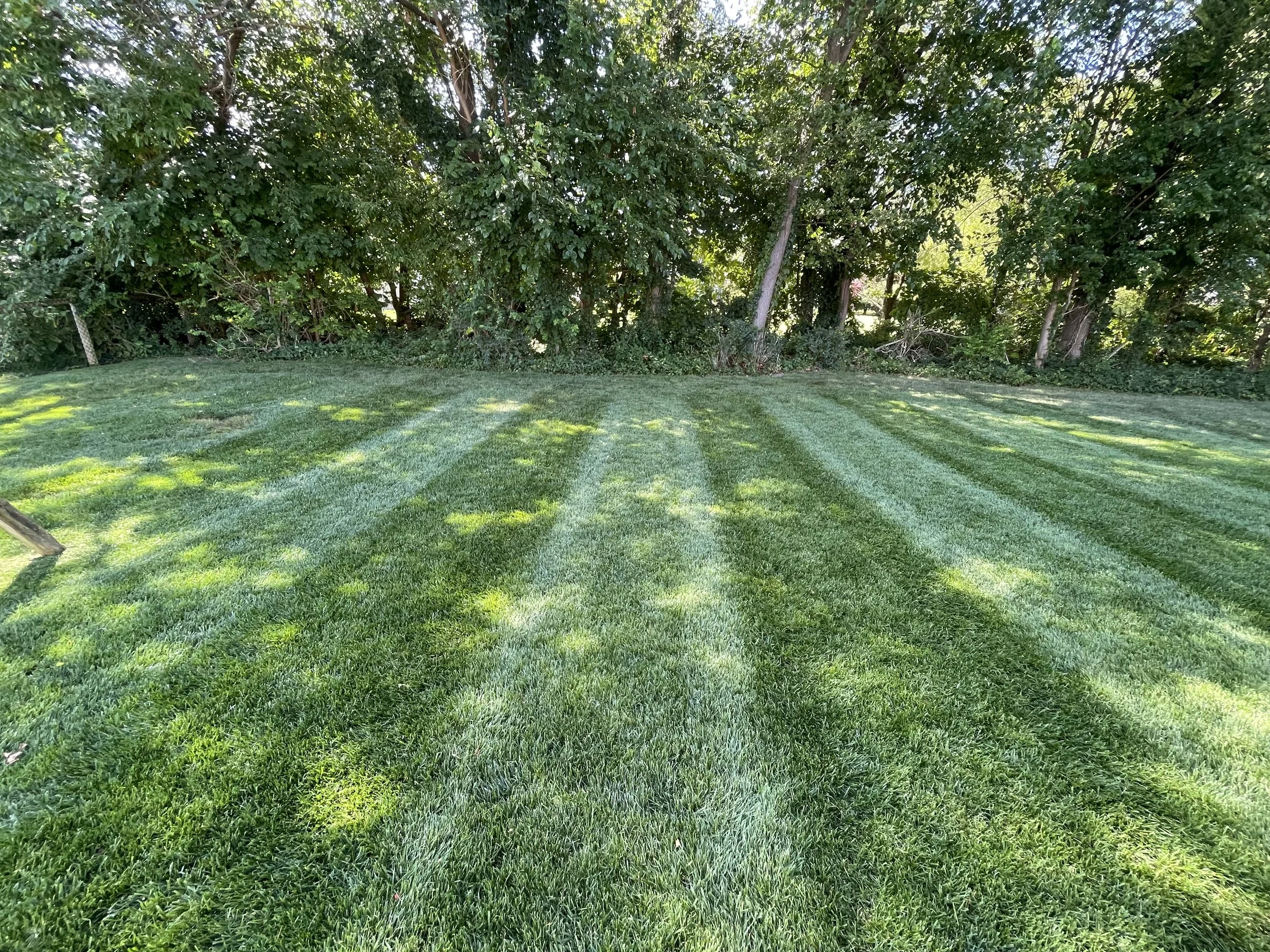 Lawn Mowing Stripes — Sussex County Delaware