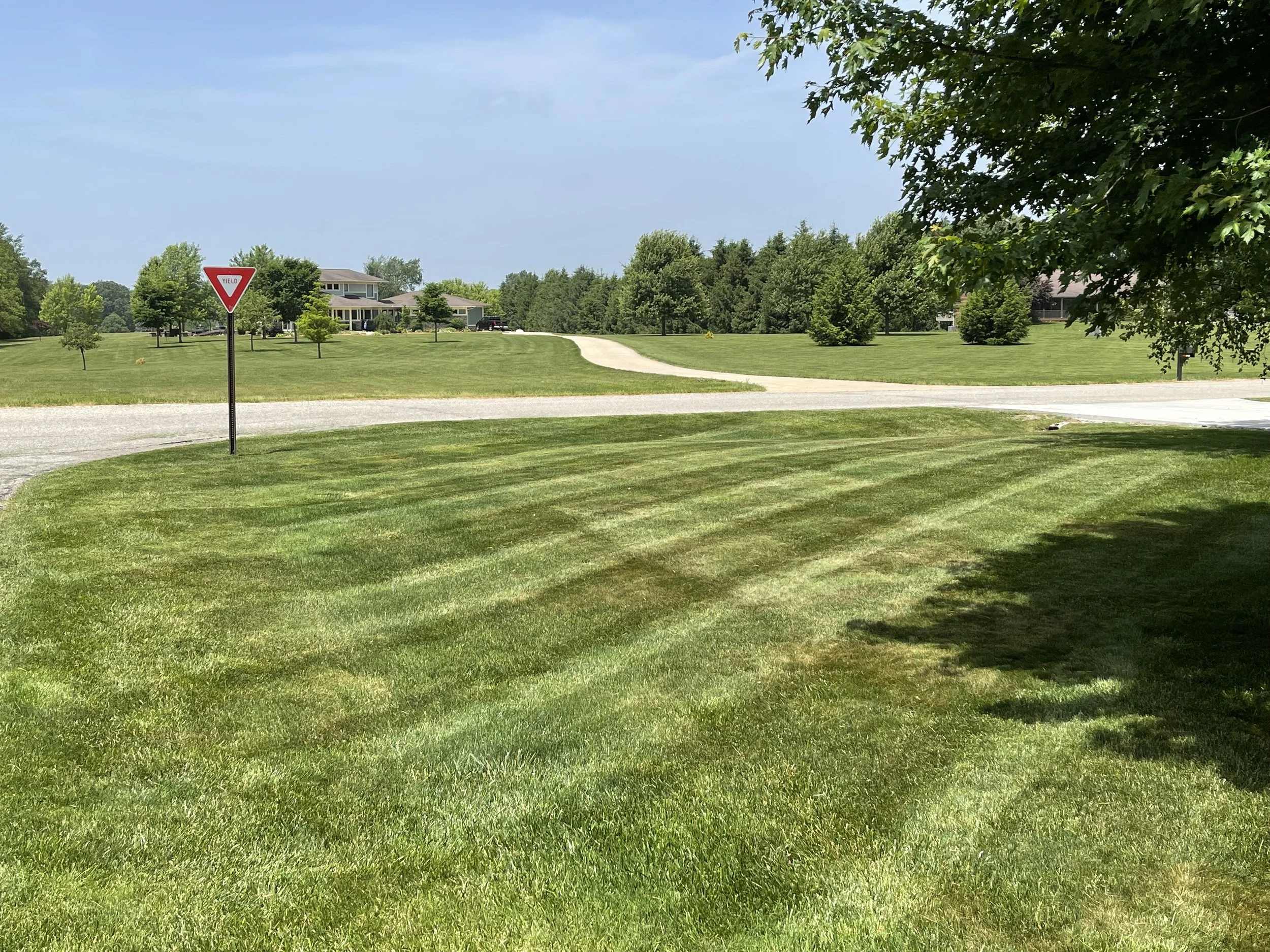Open Lawn Mowing — Delaware