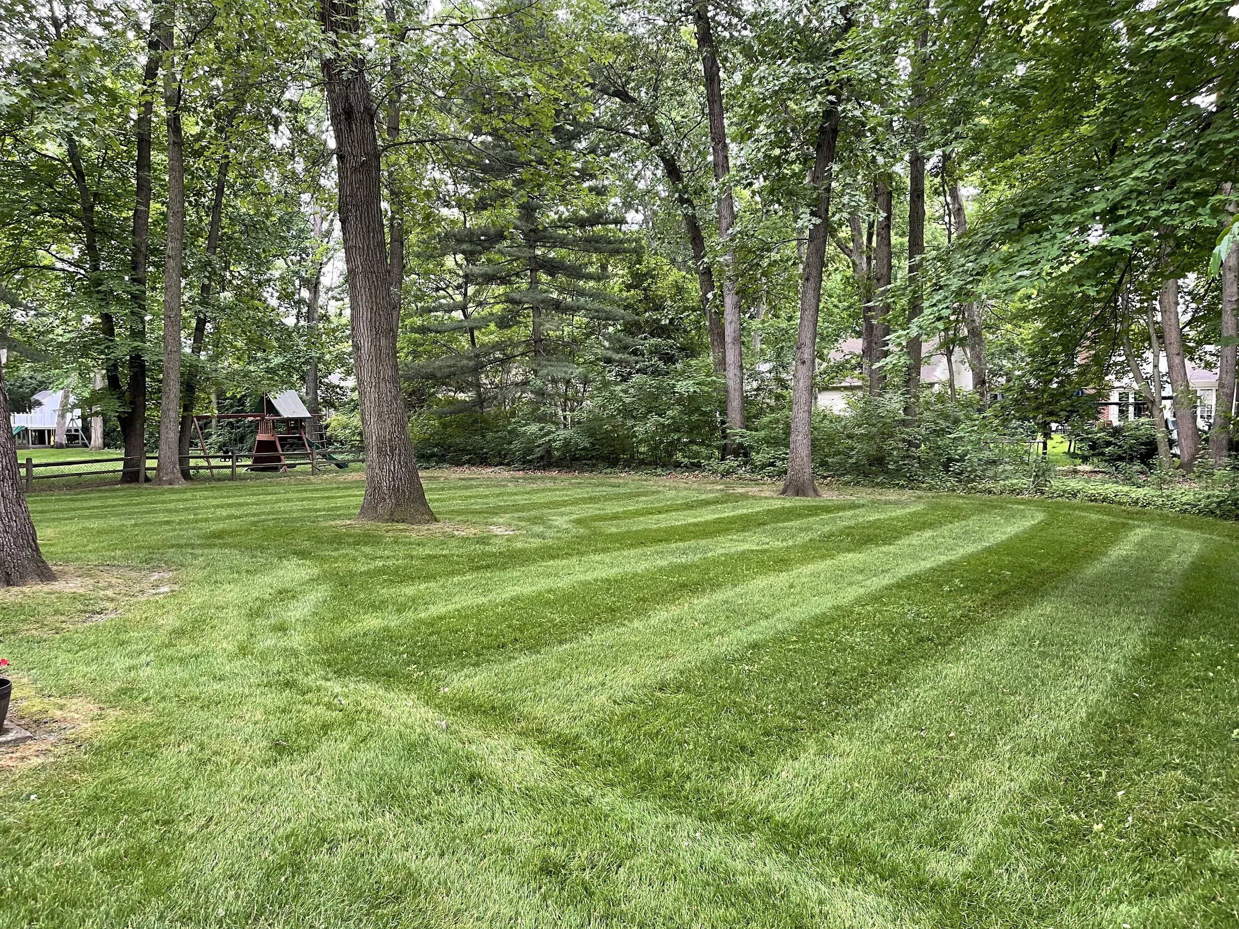 Tree Line Lawn Mowing — Delaware