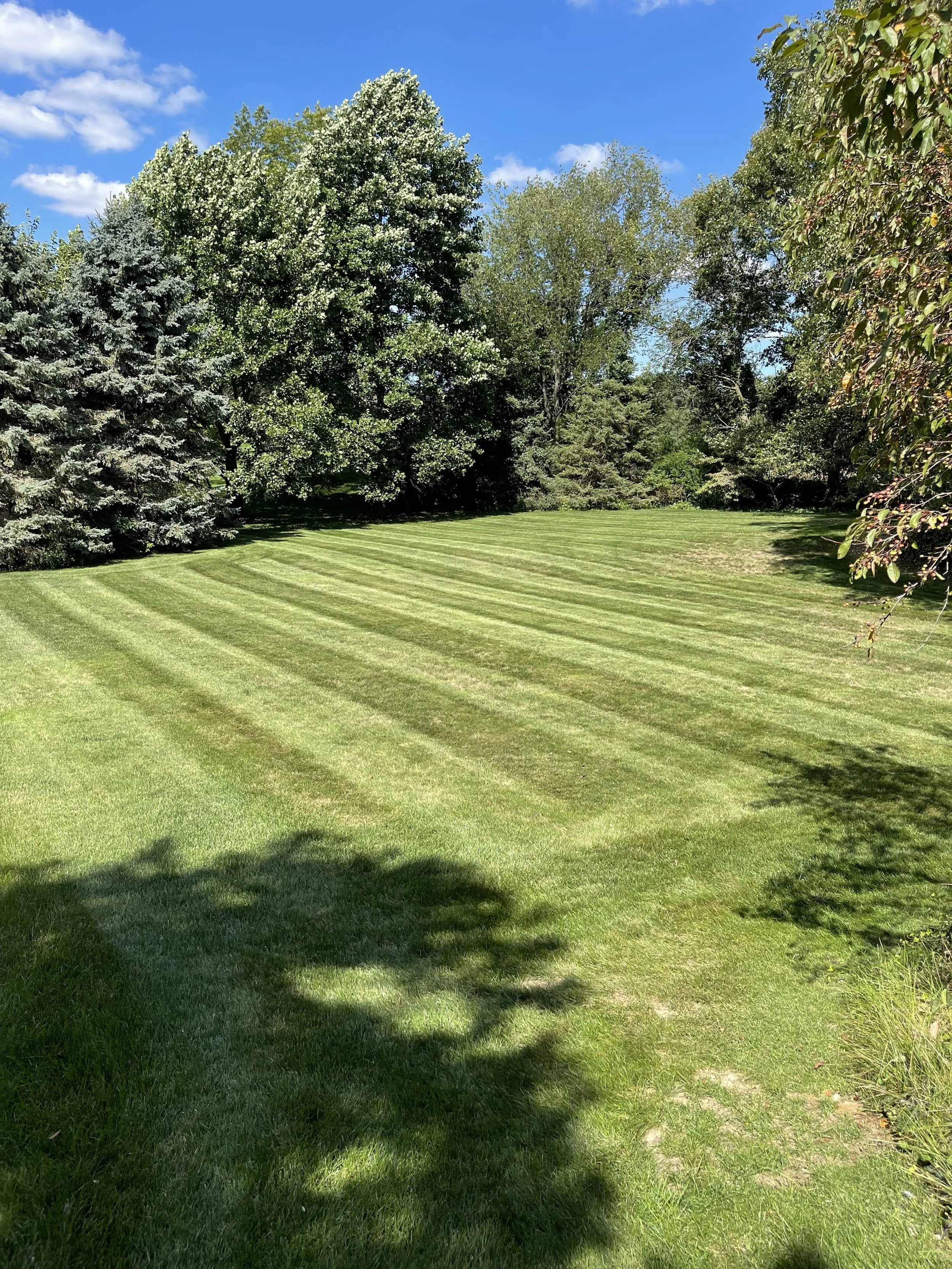 Shaded Lawn Mowing — Southern Delaware