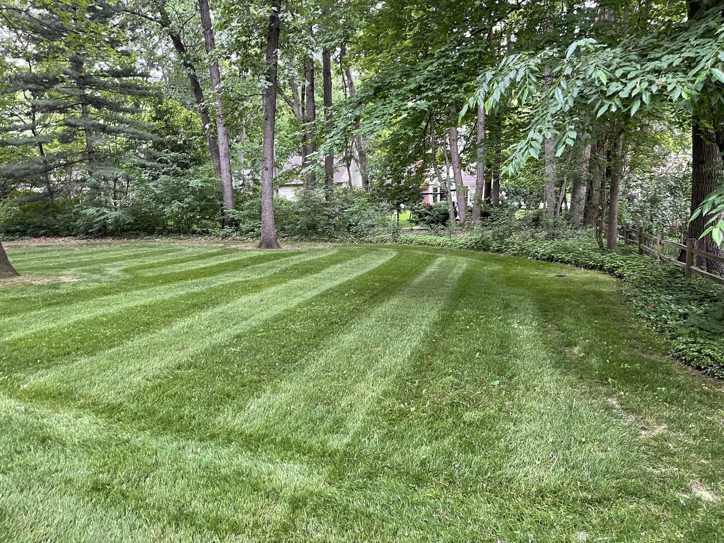 Wooded Lawn Mowing — Delaware