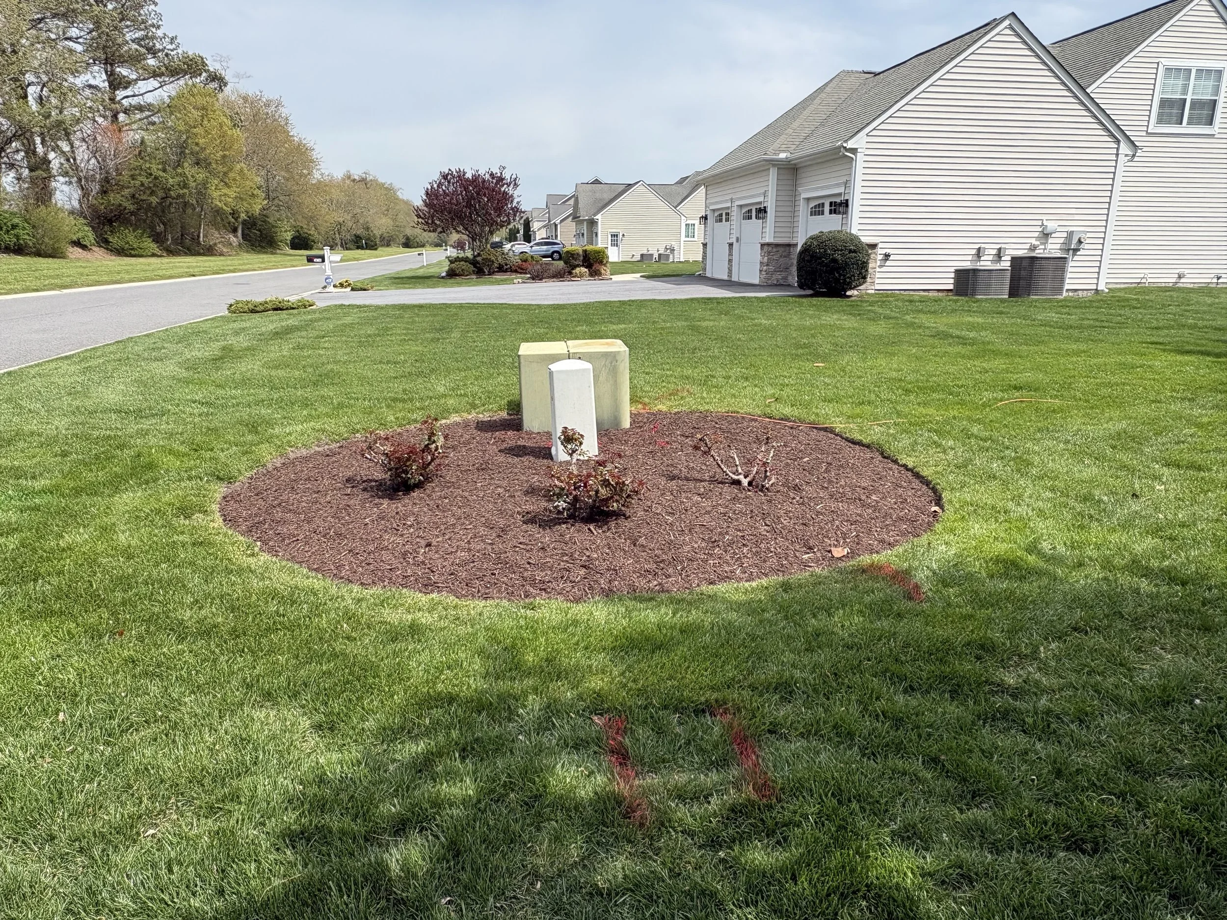 Circular Mulch Ring — Sussex County DE