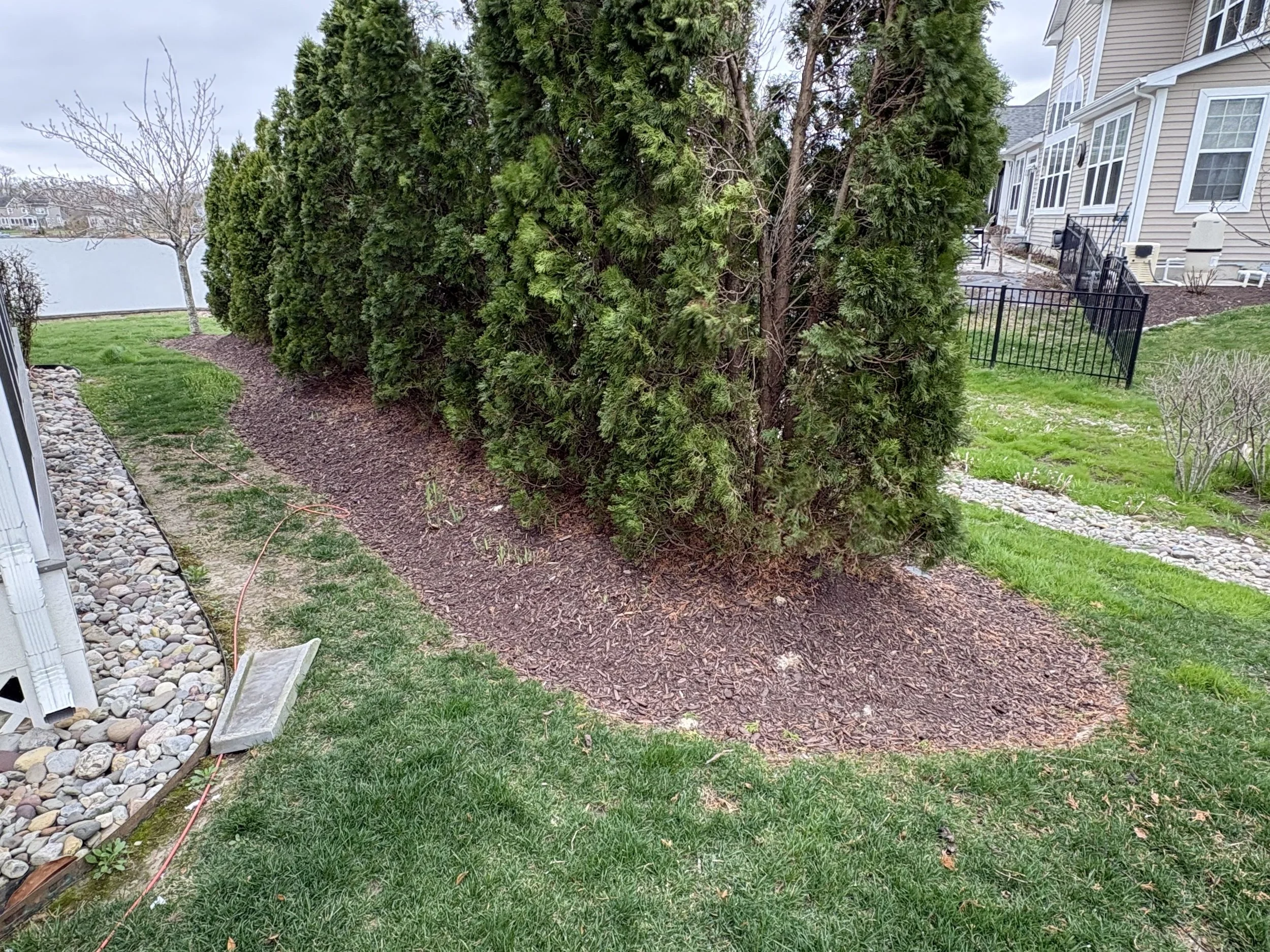 Evergreen Shrub Bed — Delaware
