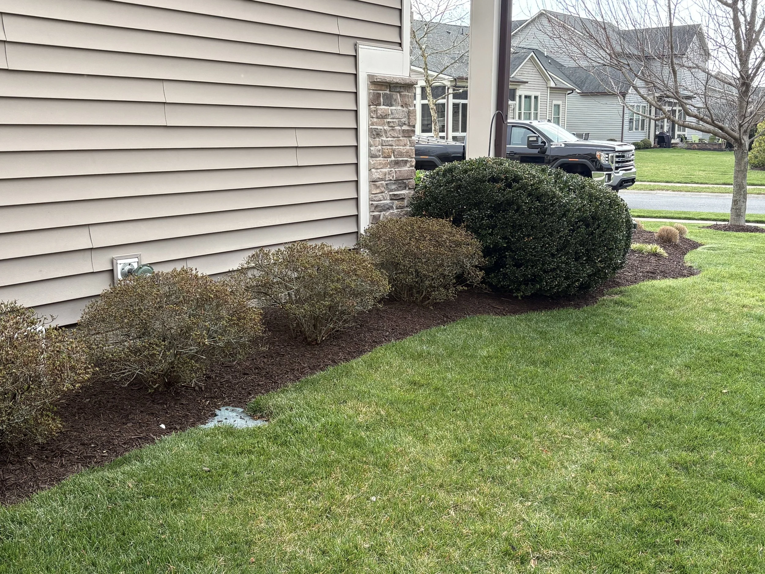 Rounded Shrub Bed — Southern Delaware