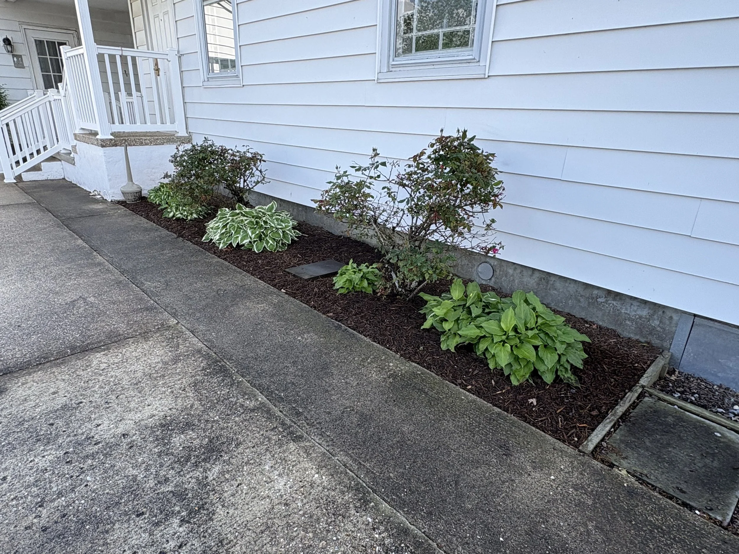 Driveway Bed with Plantings — Delaware