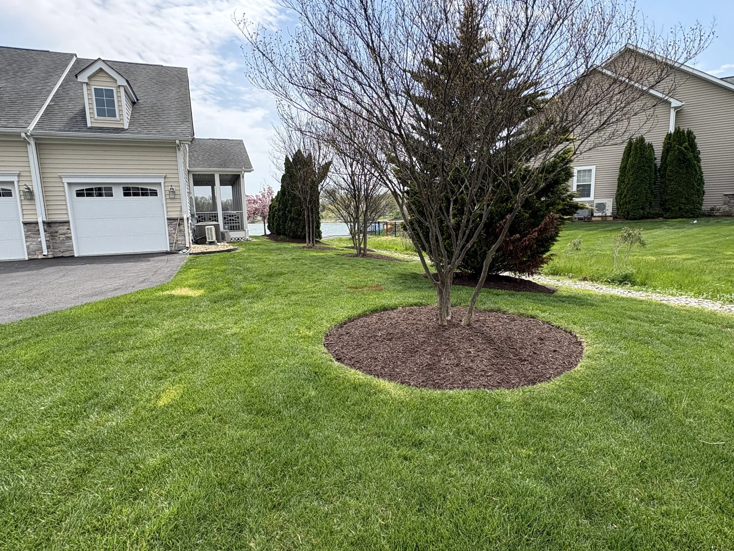 Tree Ring Mulching — Southern Delaware