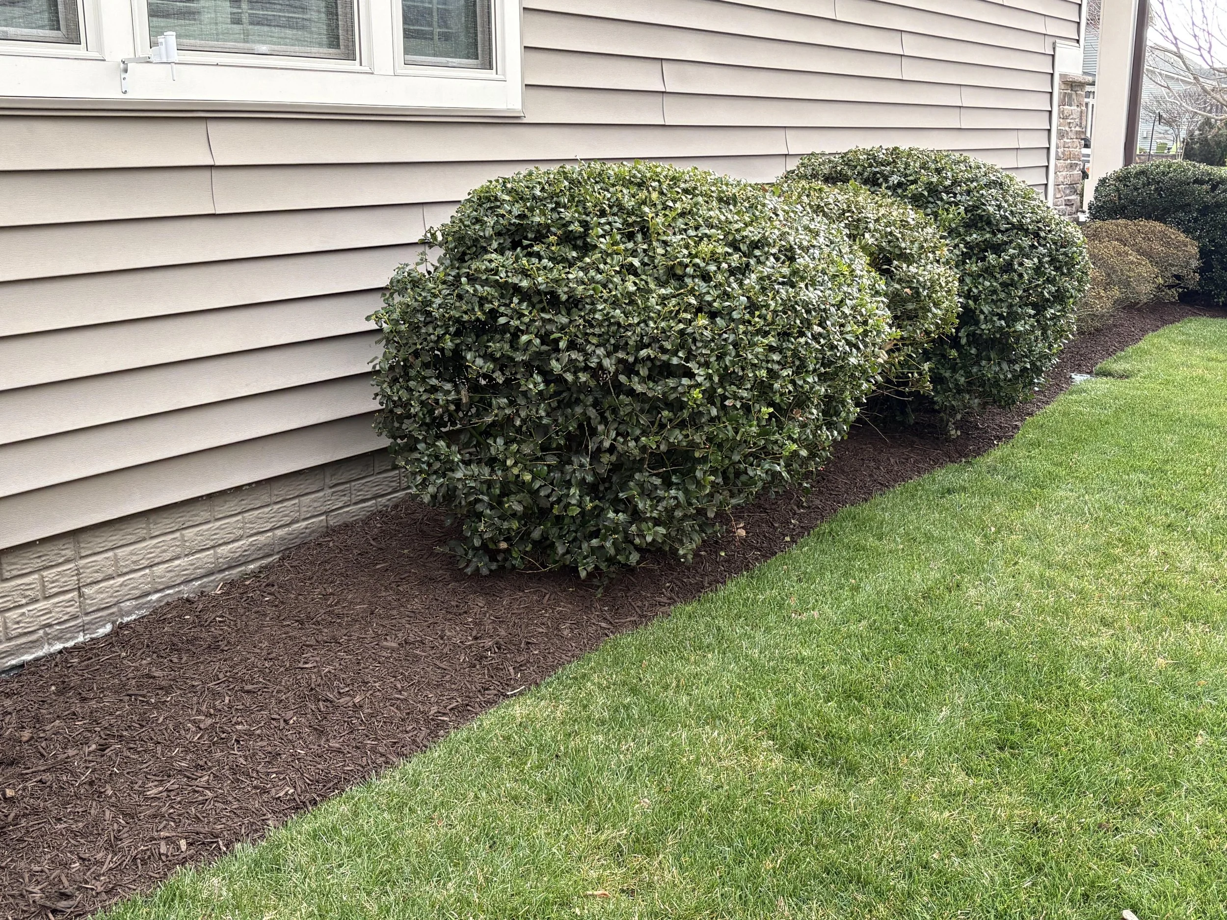 Foundation Shrub Bed — Delaware