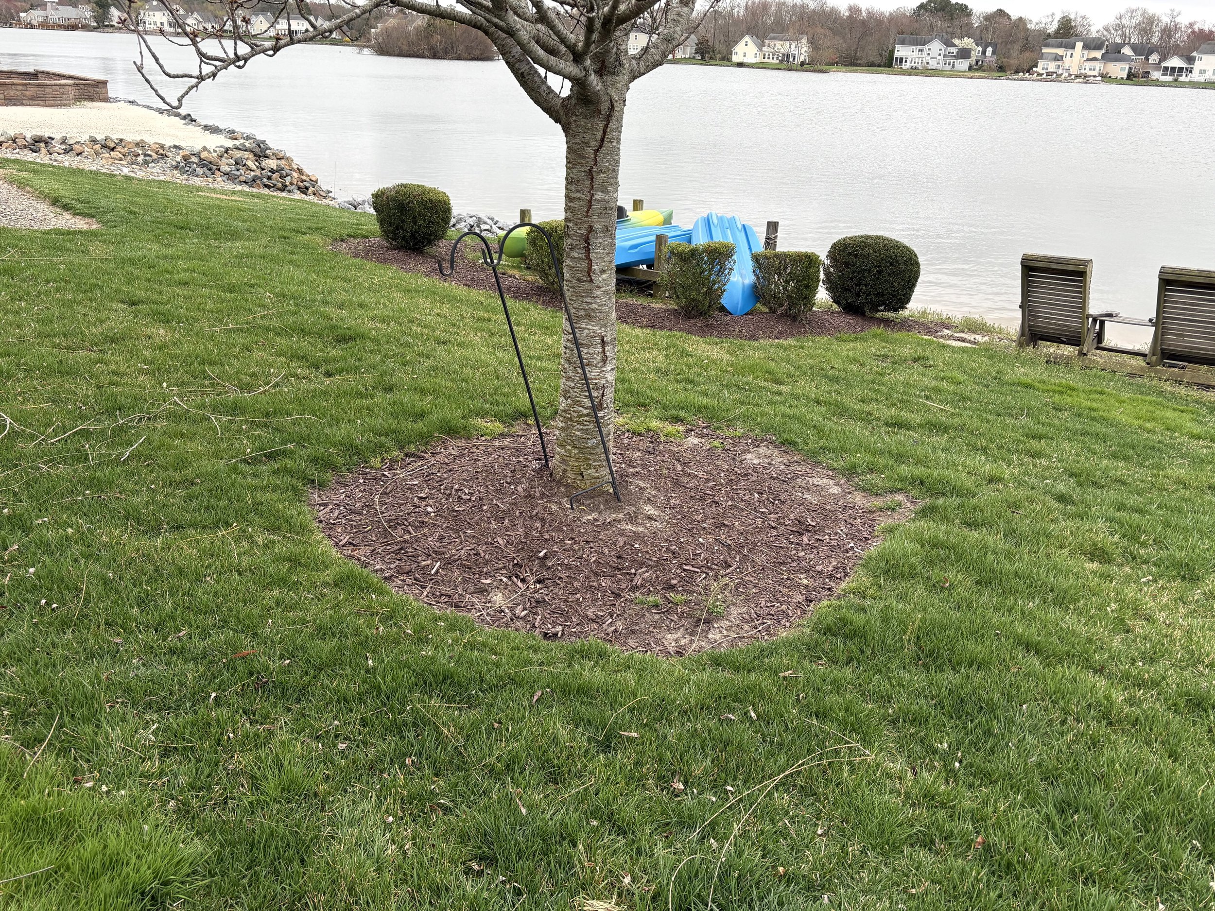 Waterfront Tree Bed — Southern Delaware