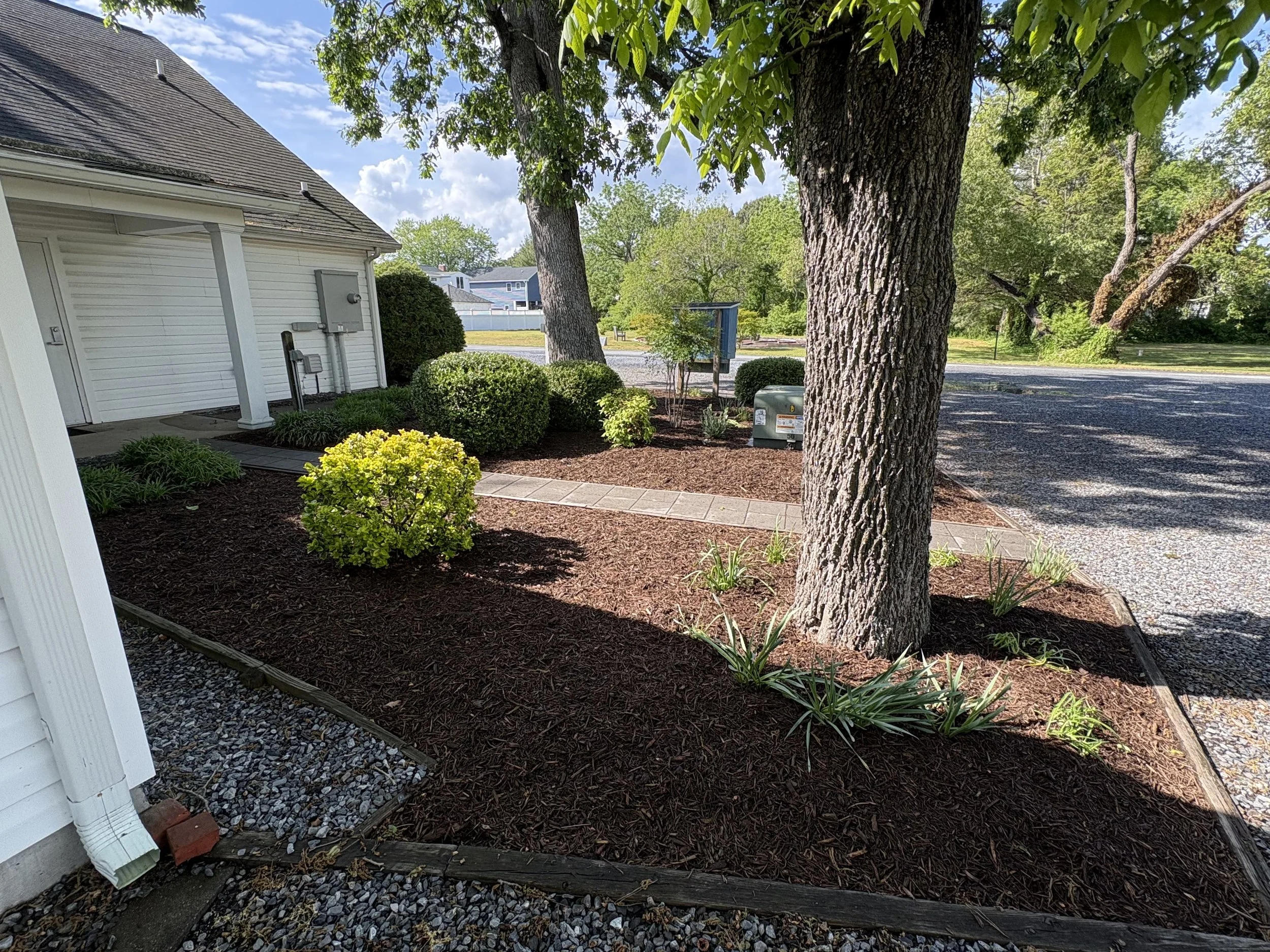 Tree Bed &amp; Shrub Planting — Delaware