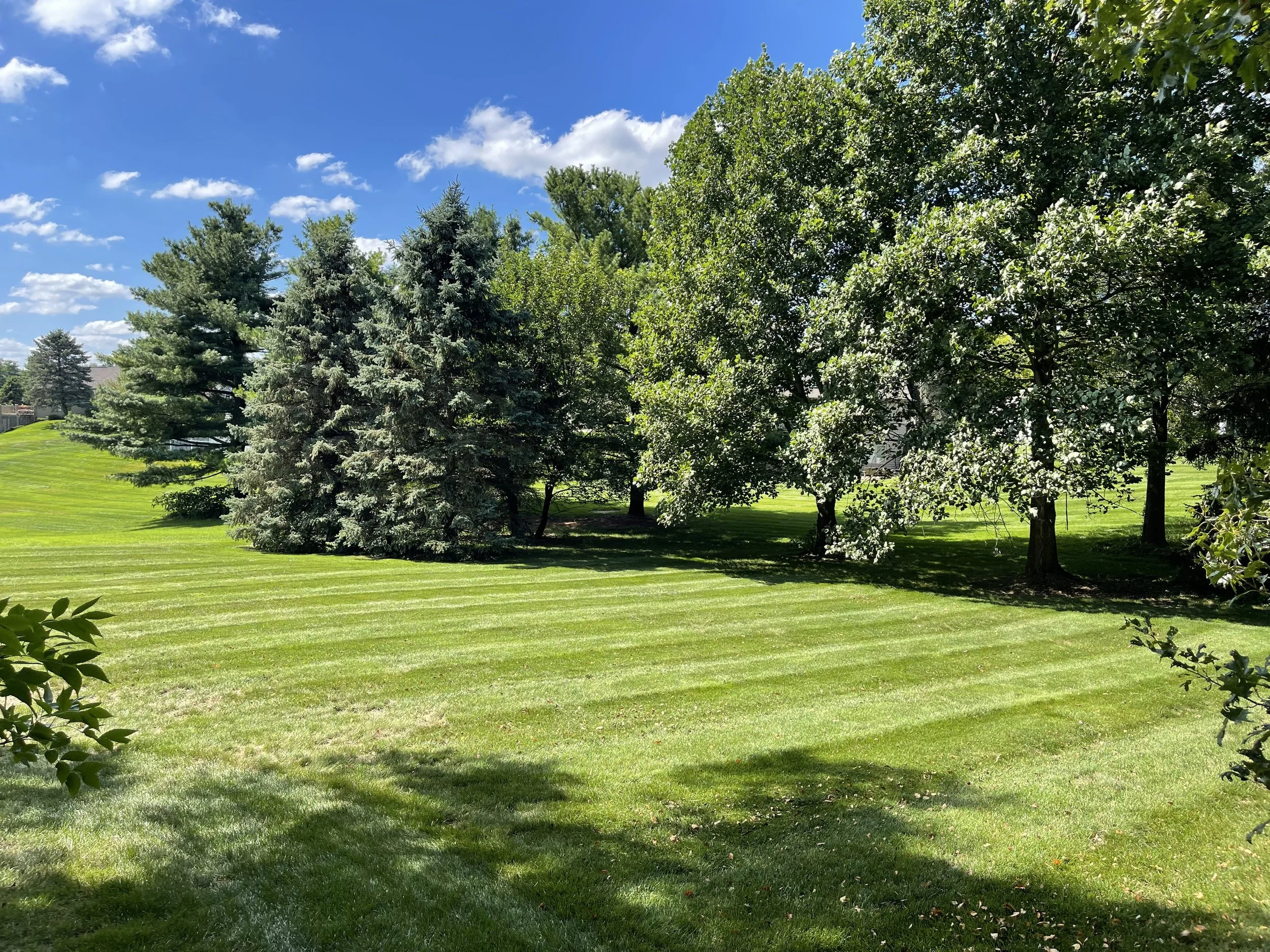 lawn-maintenance-frankford-delaware.jpg