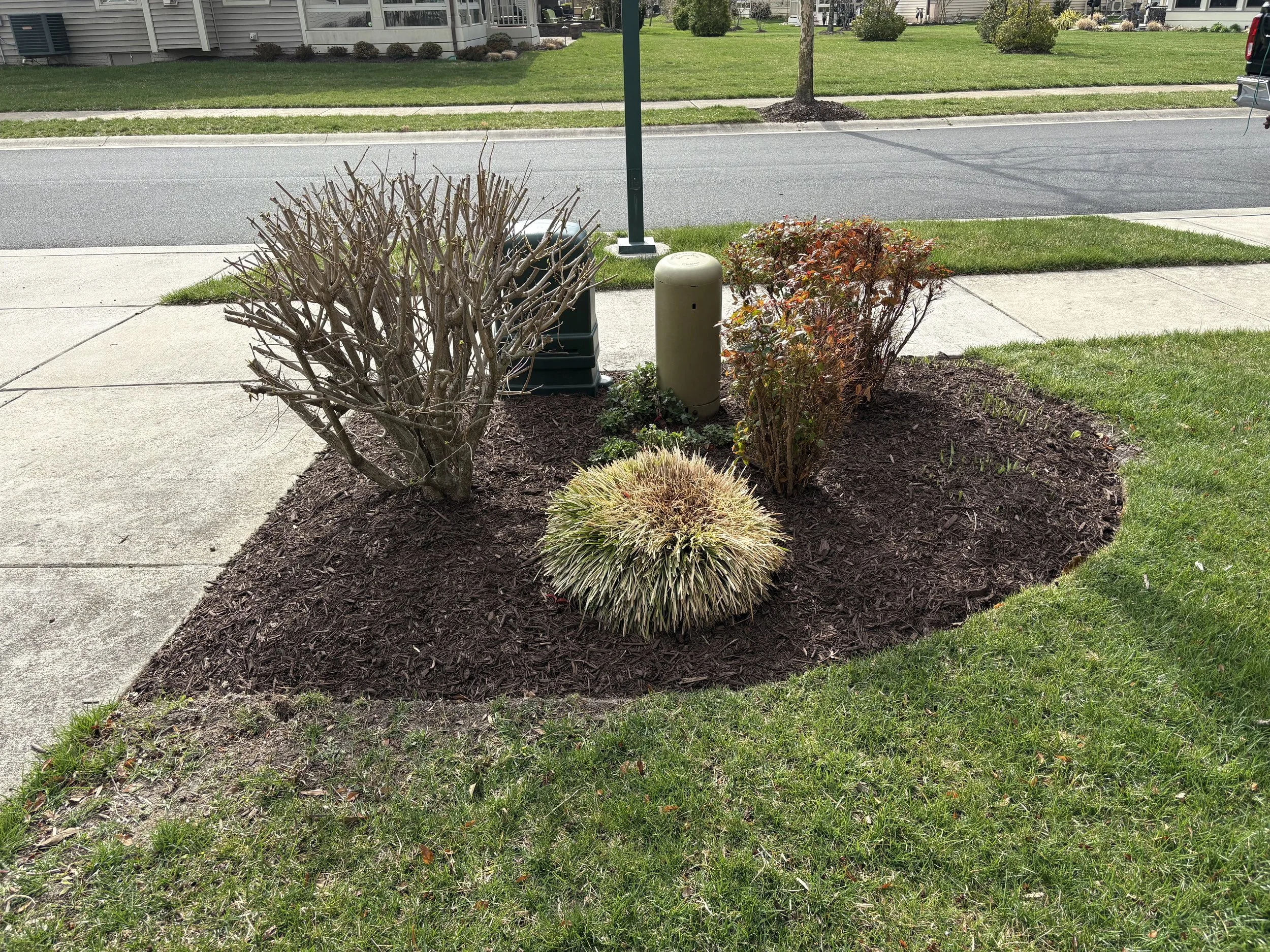 Trimmed shrubs with fresh mulch bed after landscaping in Delaware