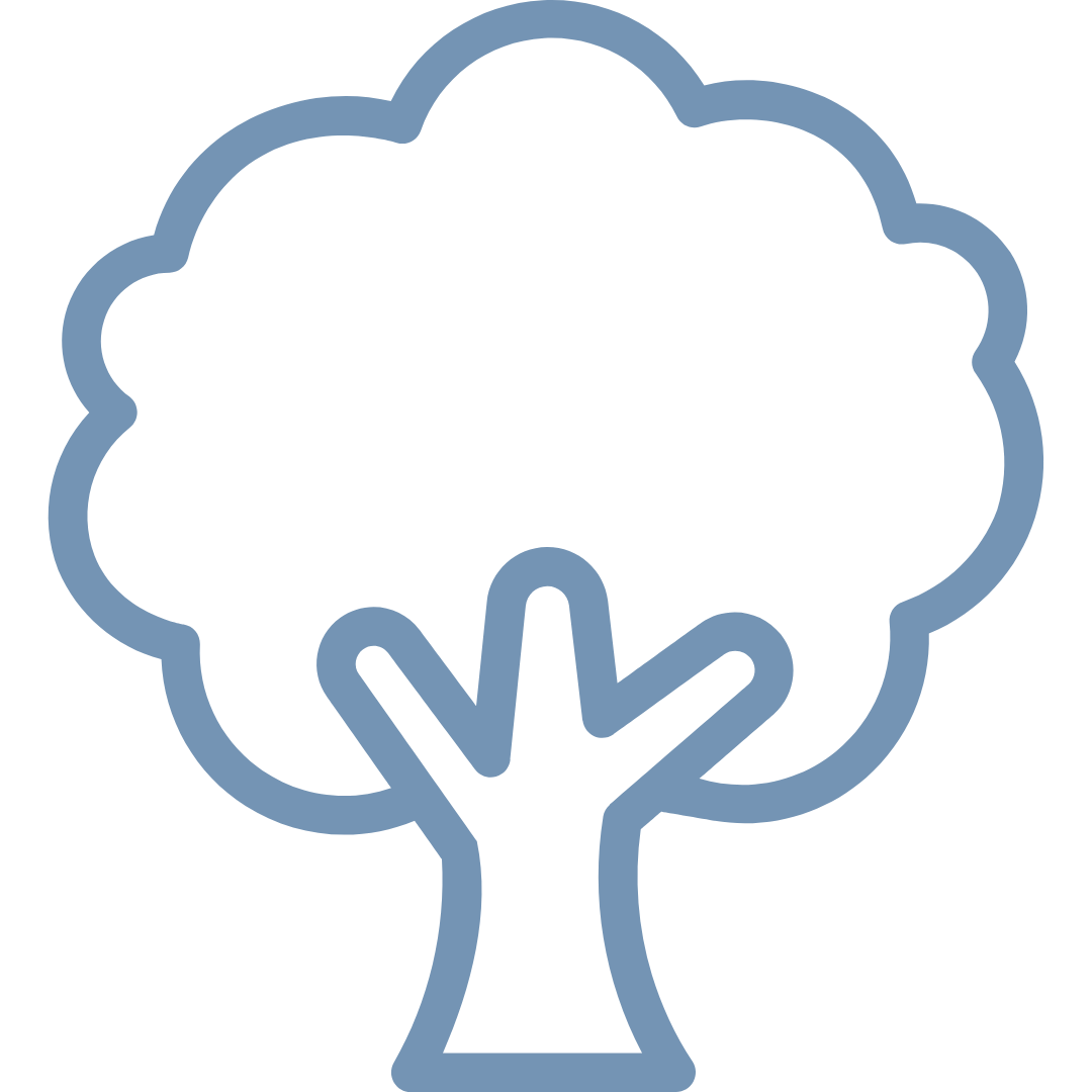 Blue outline icon of a tree with a broad canopy and a trunk.