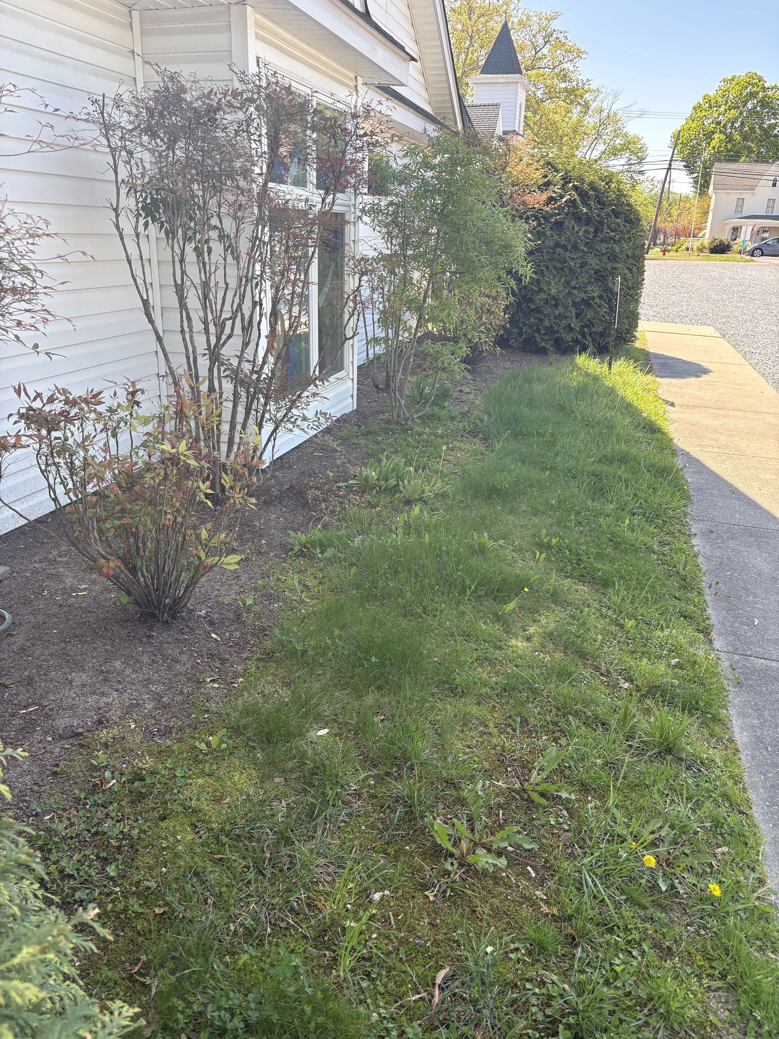 Front yard garden bed before mulching and edging in Delaware