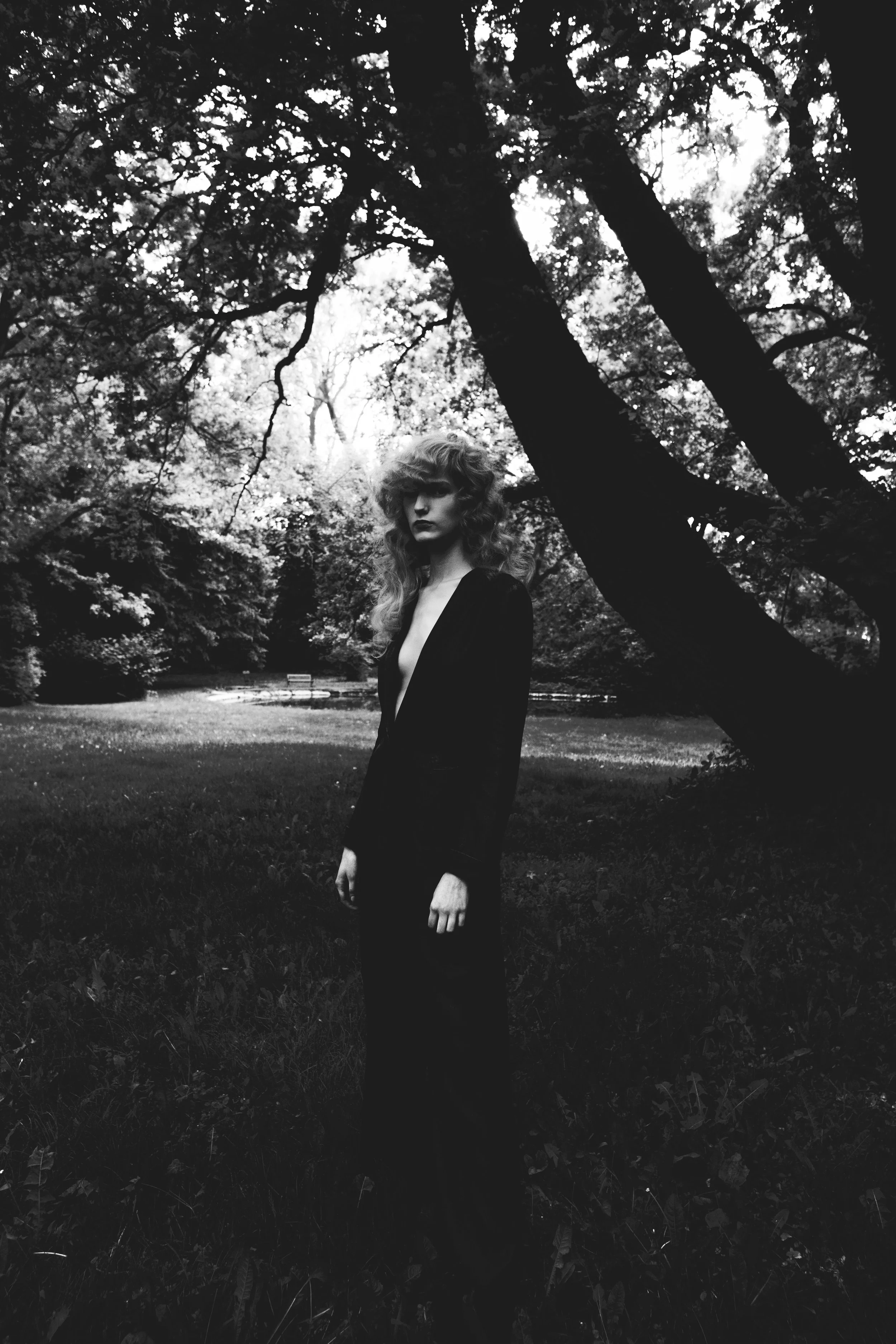 Dream journey - Numéro
