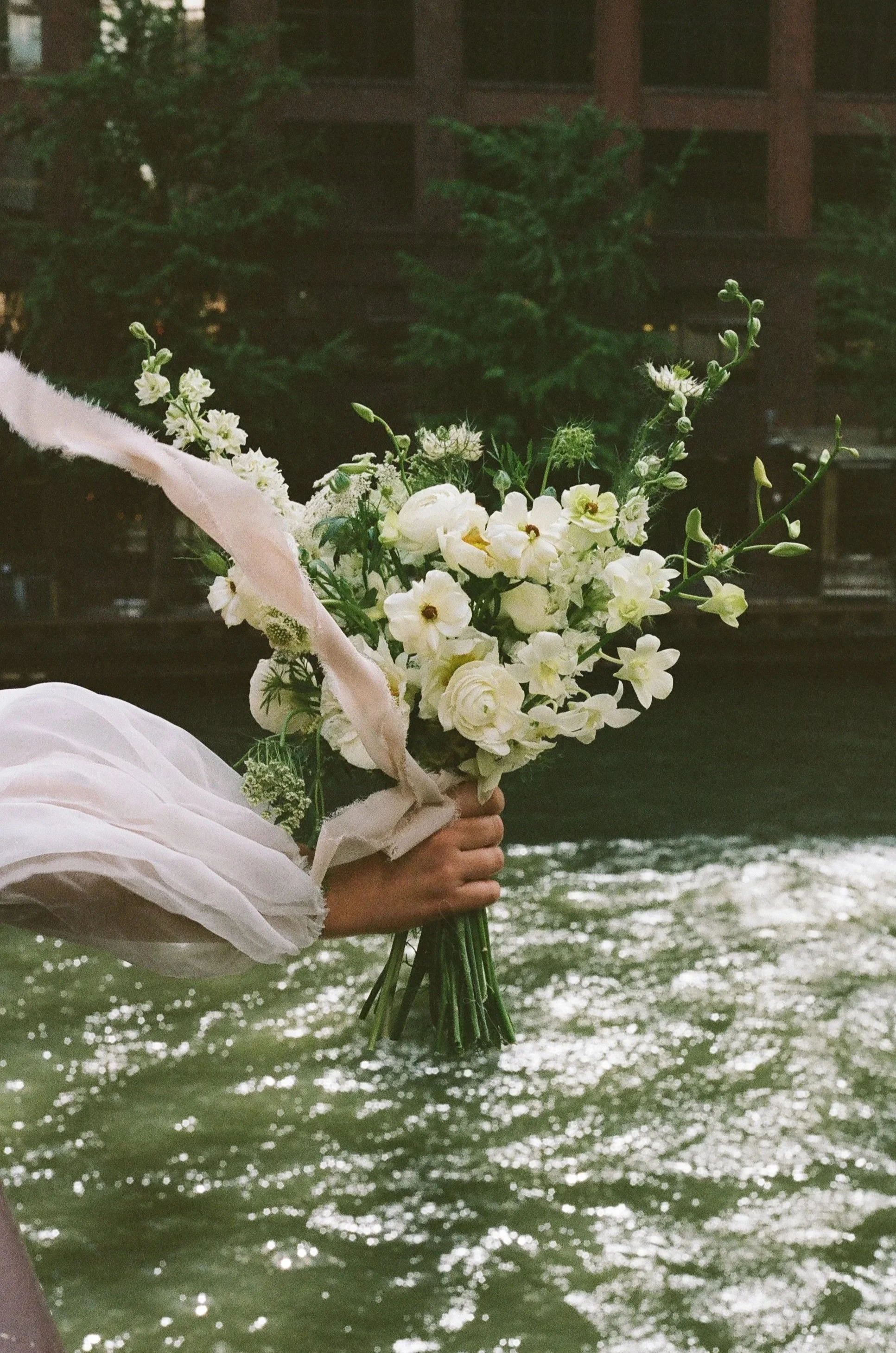 A person holding a bouquet of white flowers while standing in a body of water, with a background of greenery and a building.