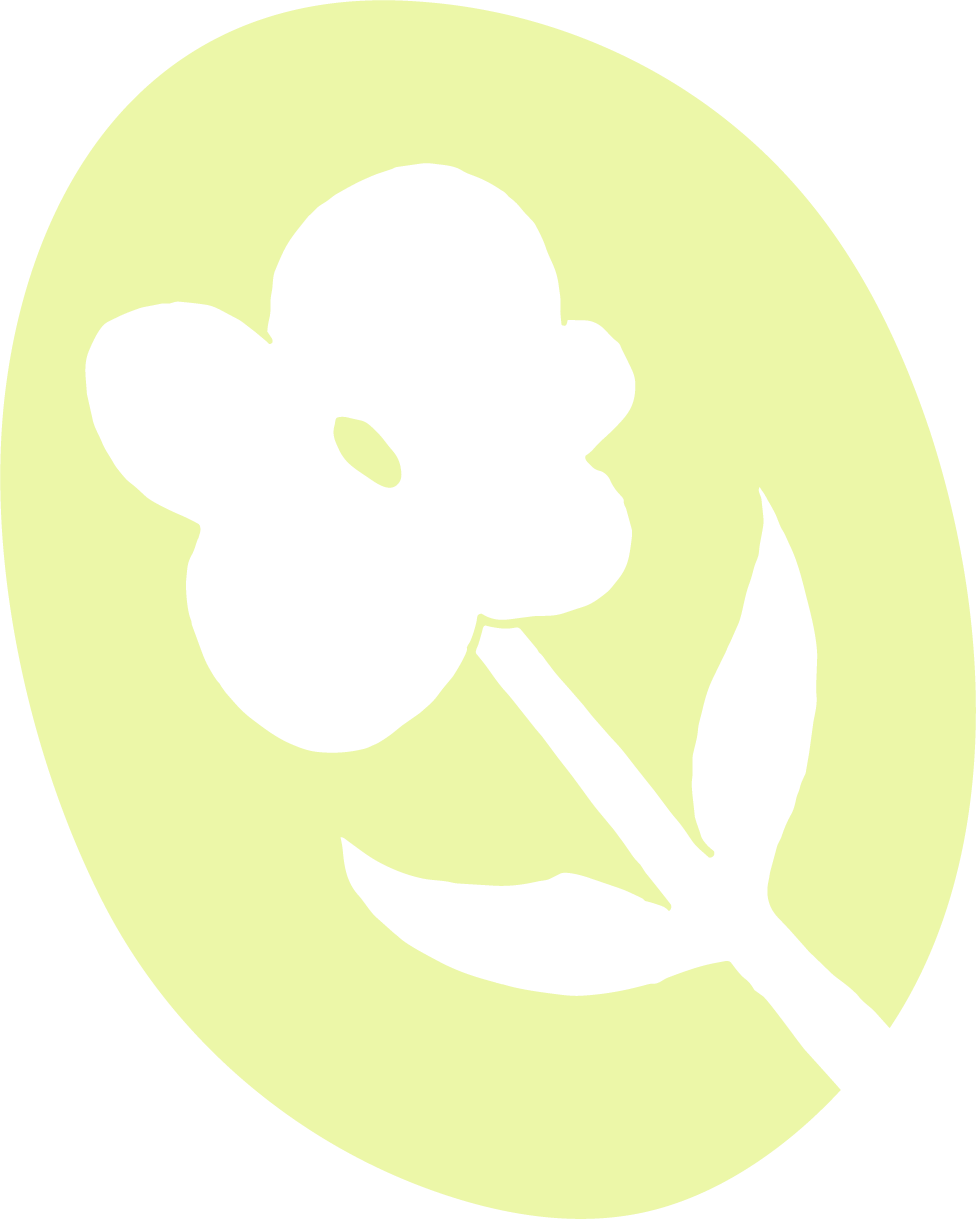 nari studio
