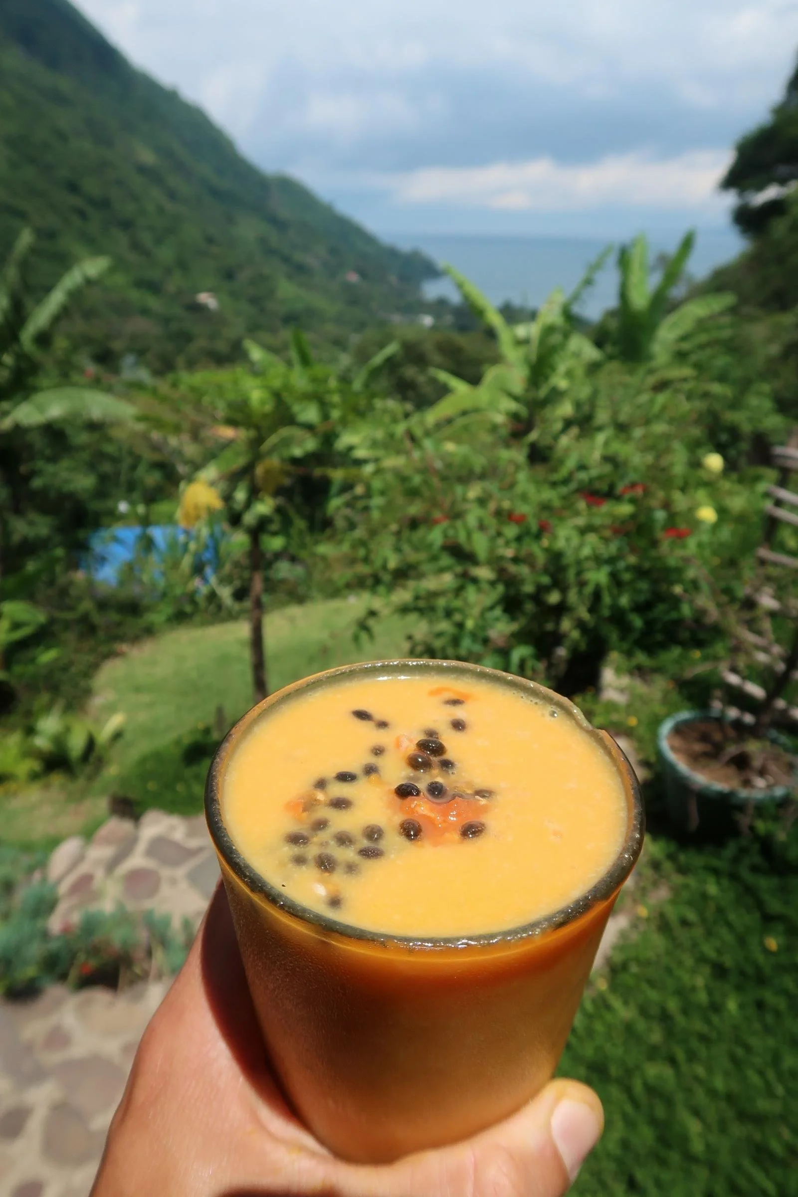 A person holding a glass of orange-colored passion fruit drink with black seeds on top, in a garden with green plants, trees, and a mountainous landscape with a cloudy sky in the background.