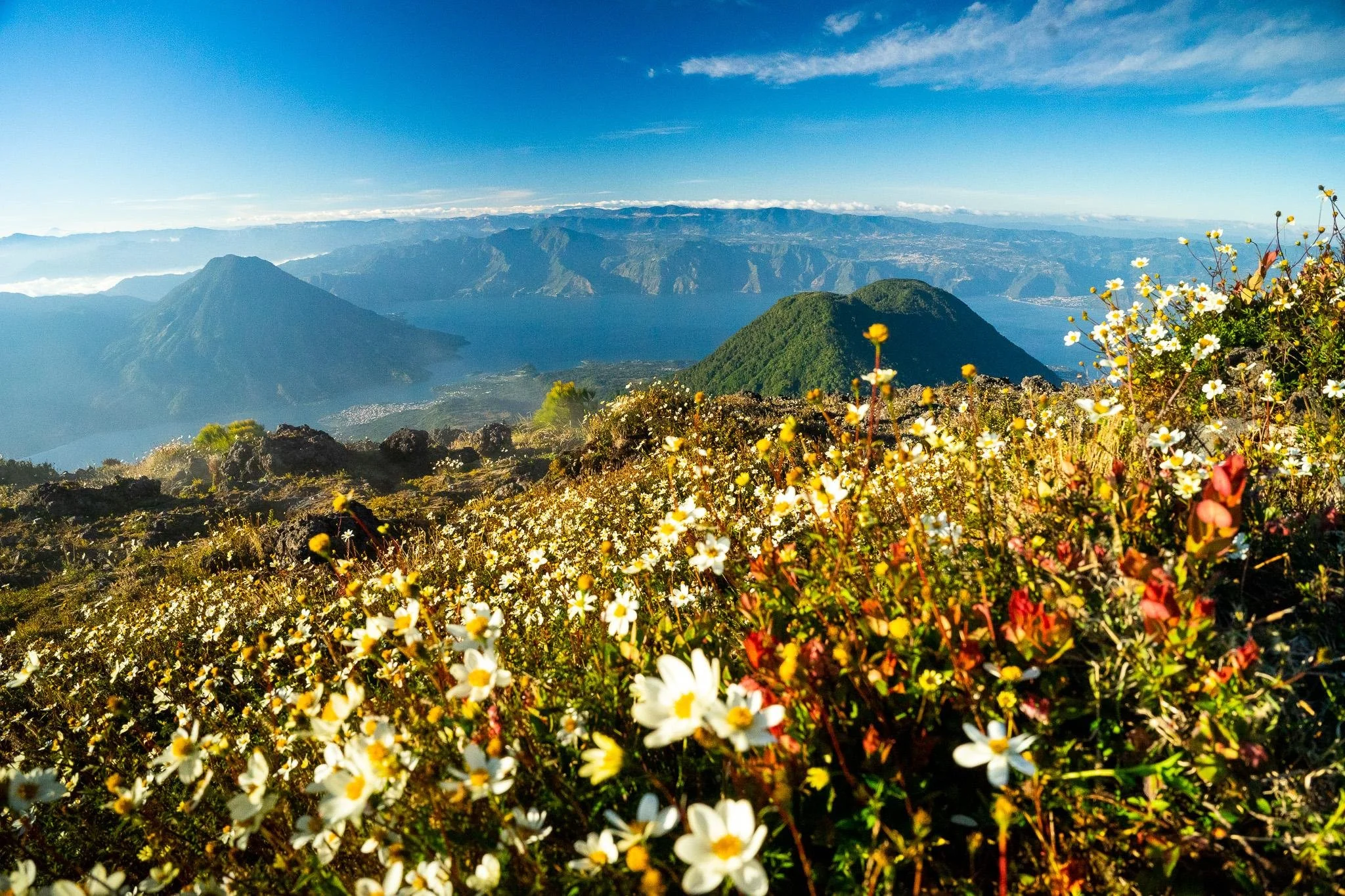 Mountain landscape with two prominent green peaks, a lake, and a distant mountain range under a blue sky with some clouds, surrounded by colorful wildflowers in the foreground.