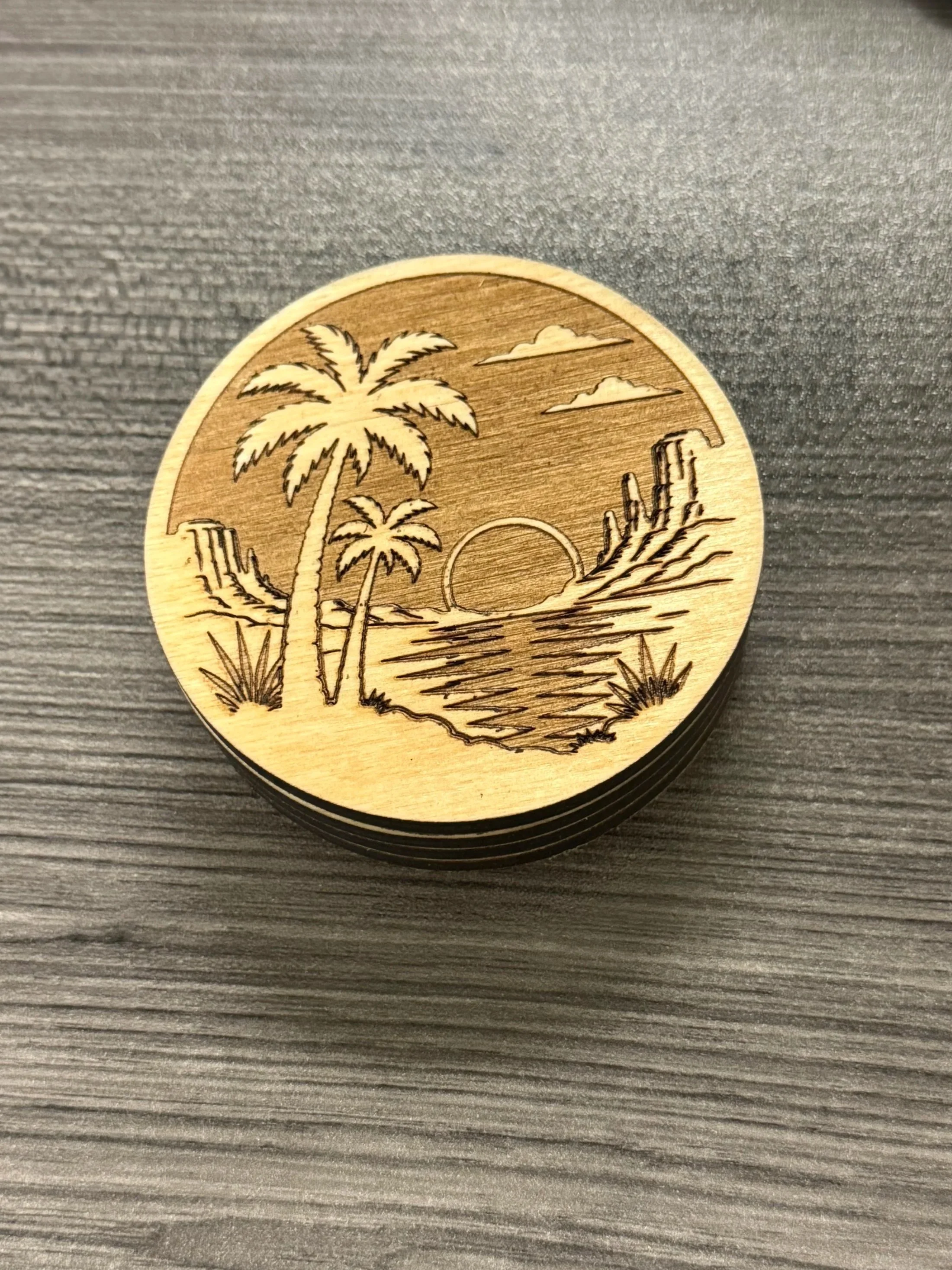 The Oasis Coaster