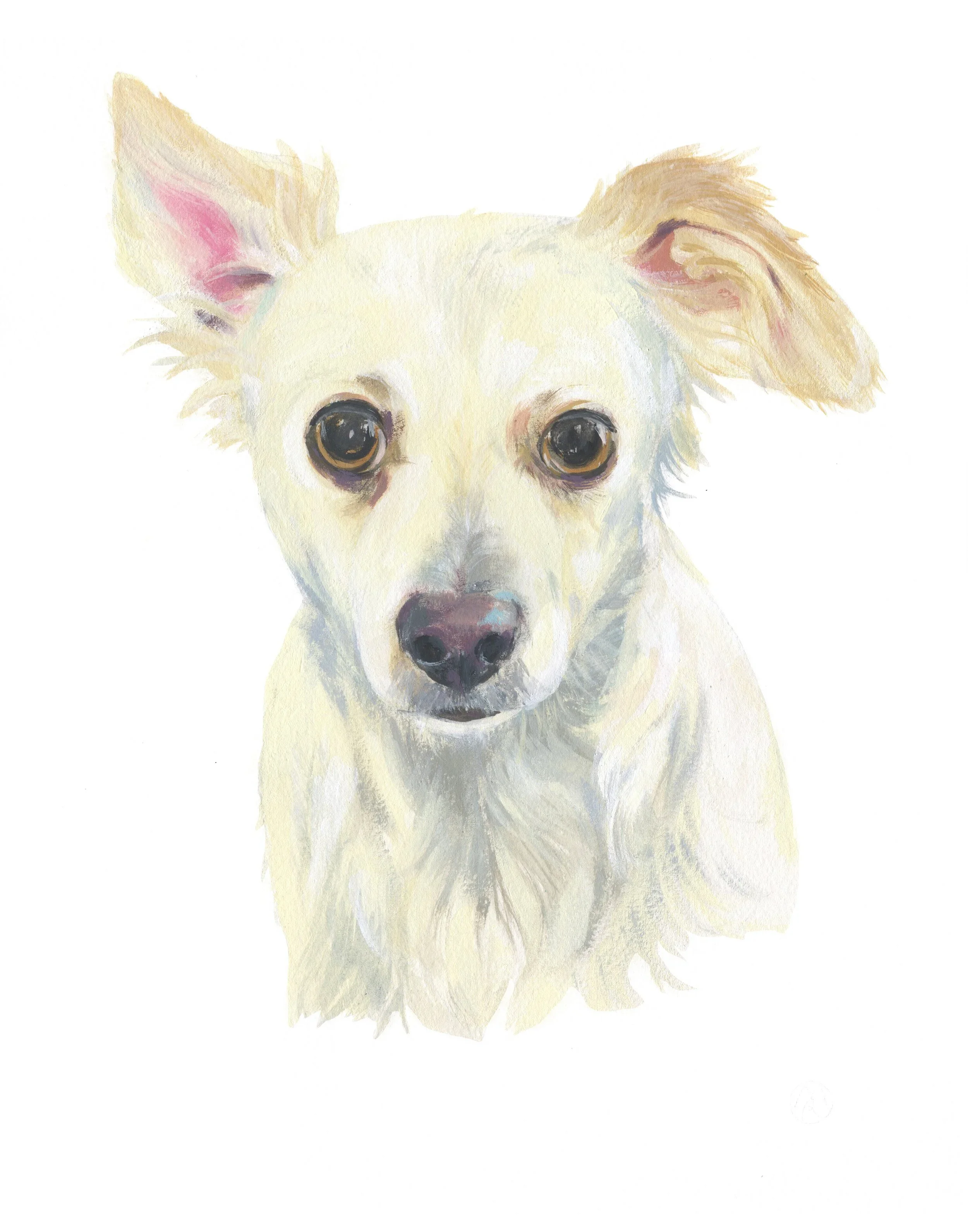 Pet+Portrait_Tracey+Wigfield.webp