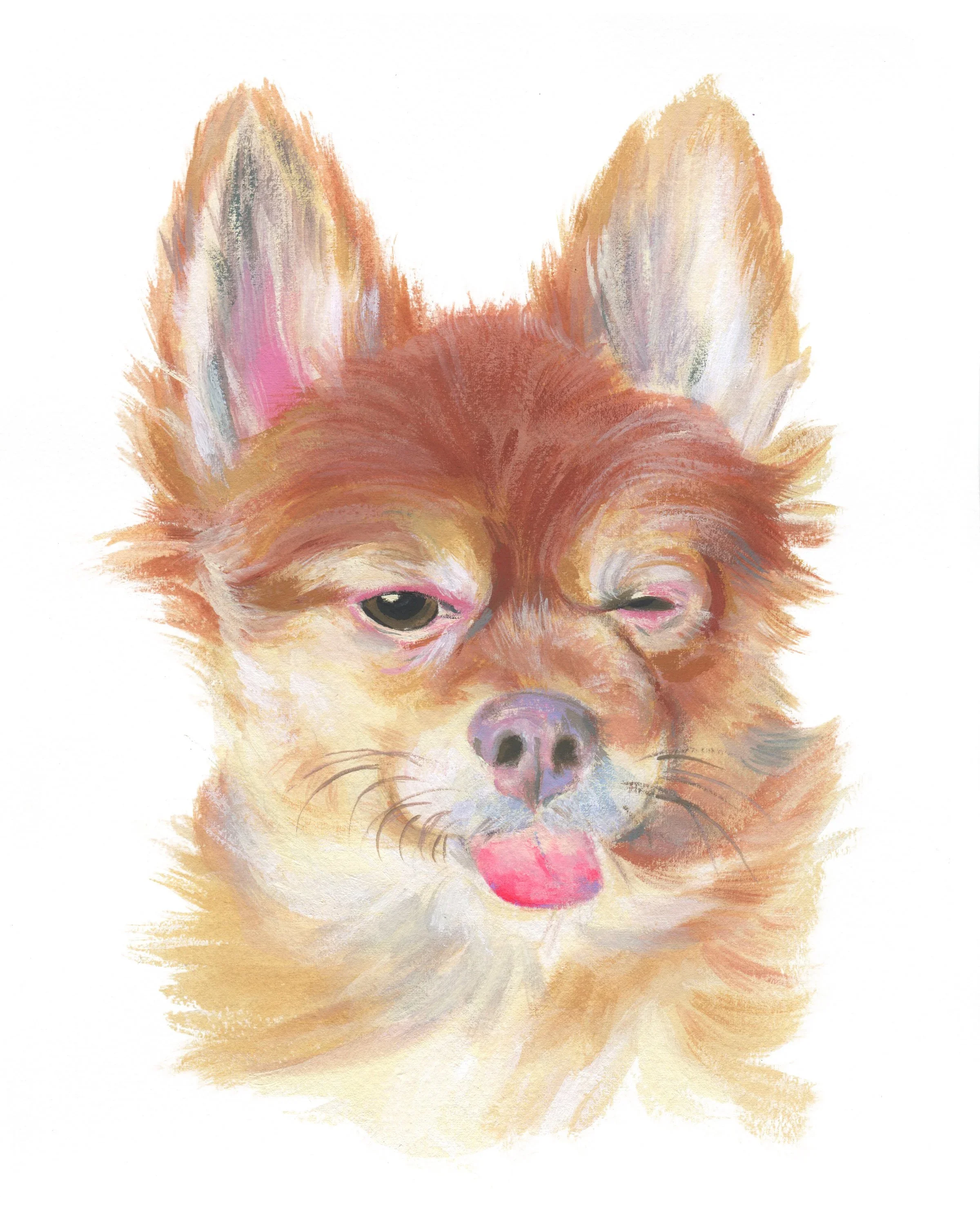 Pet+Portrait_Howard+Finkelstein.webp