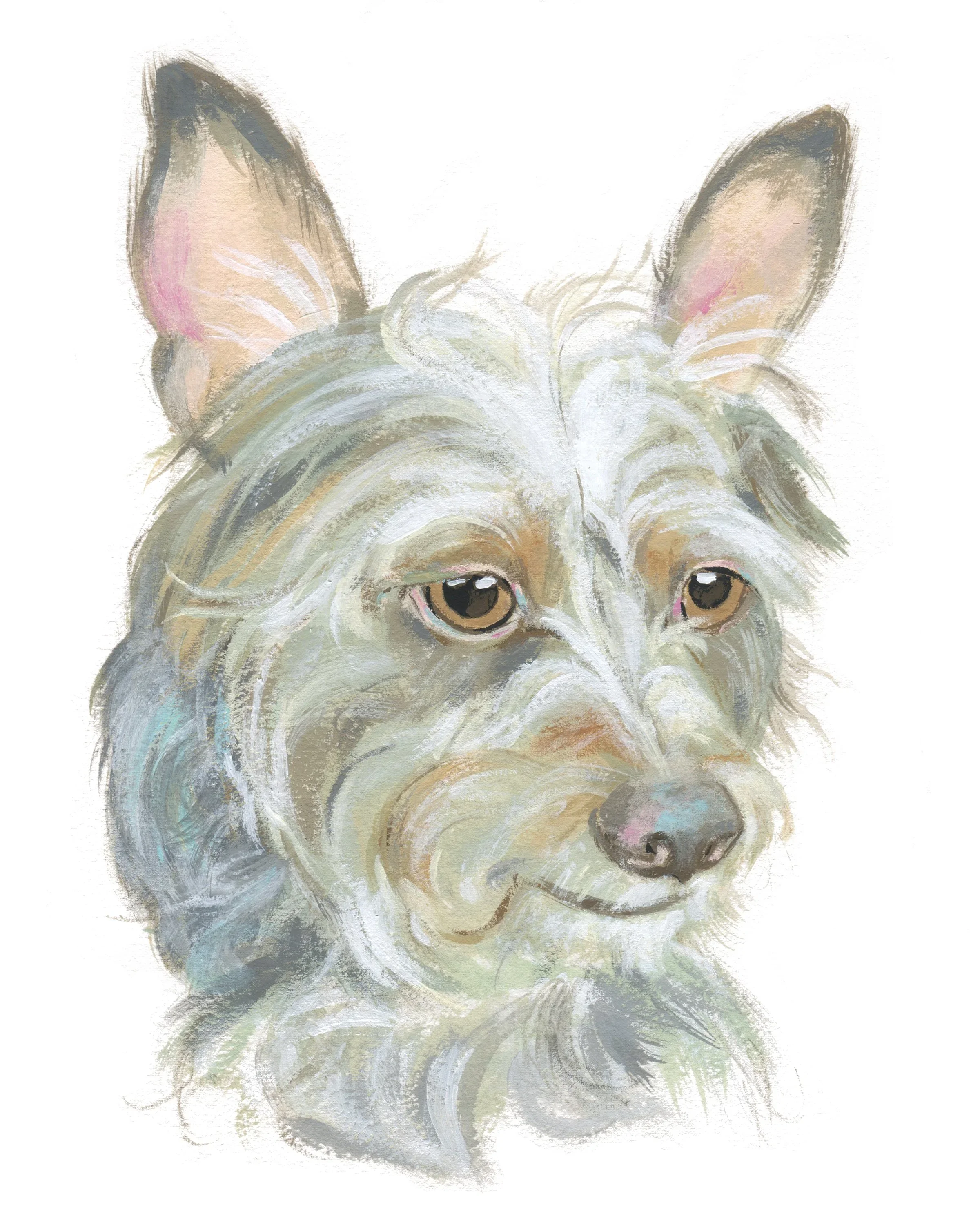Pet+Portrait_Lauren+Oxford.webp