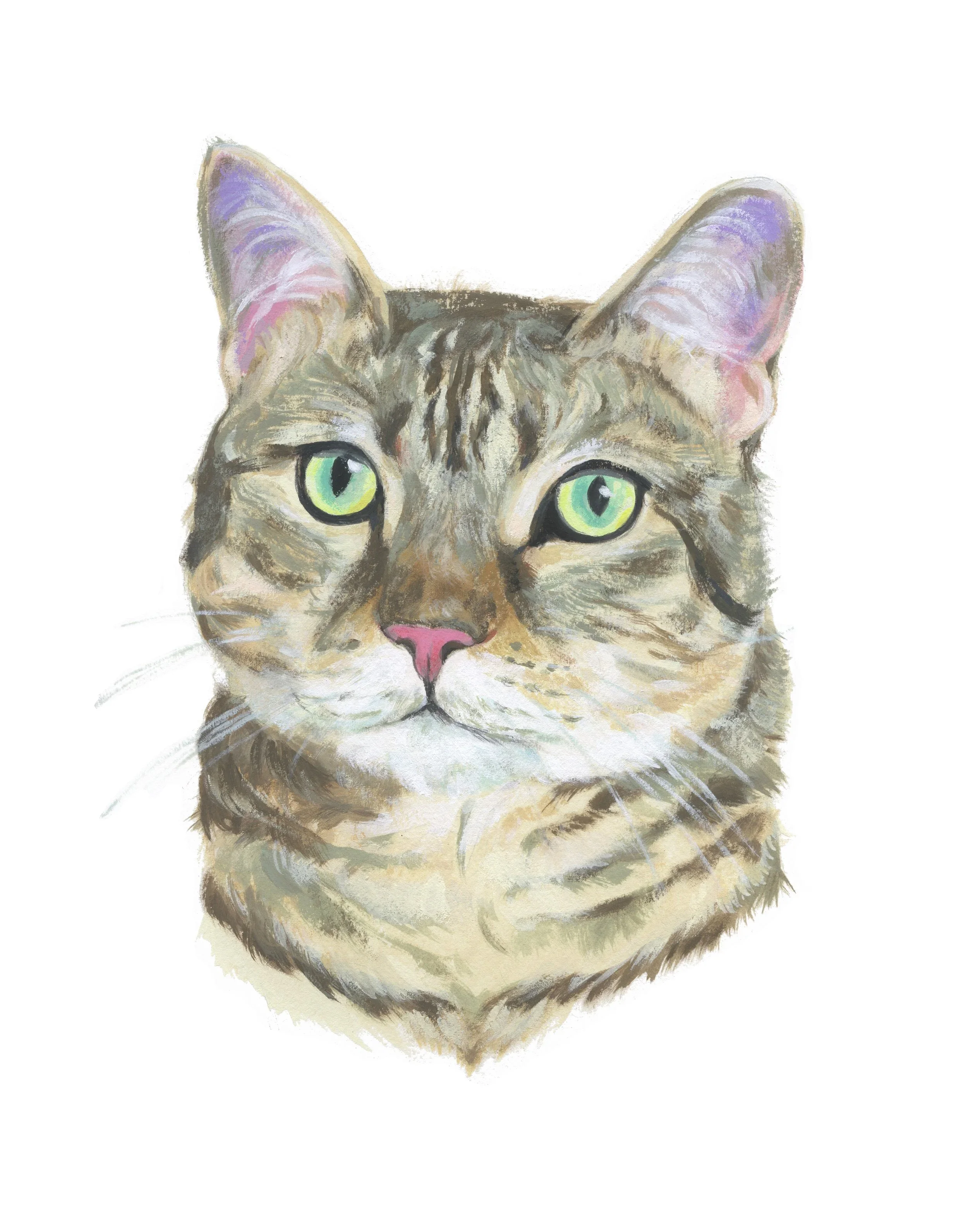 Pet+Portrait_Sean+Hallerud.webp