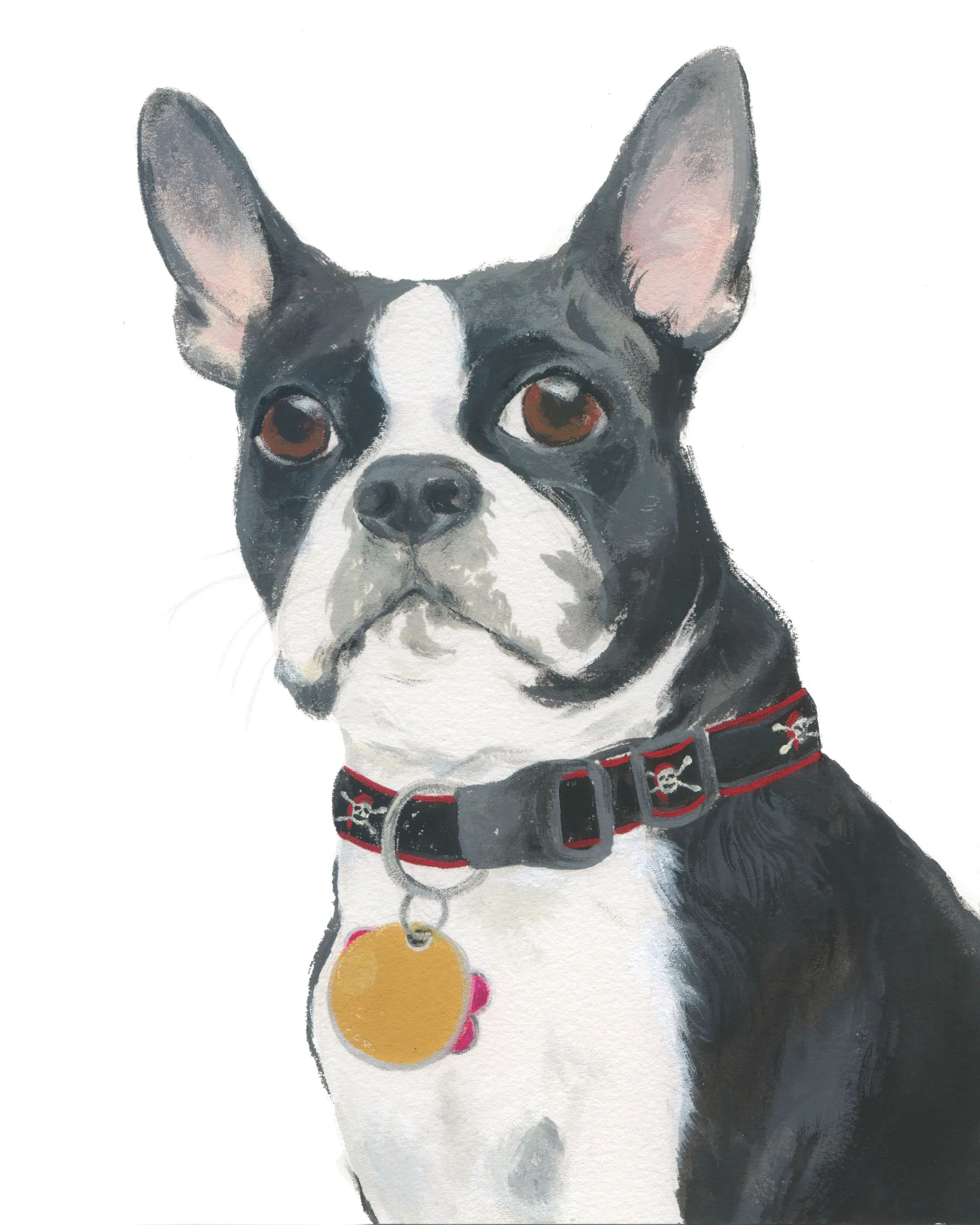 Pet+Portrait_Gabrus.webp