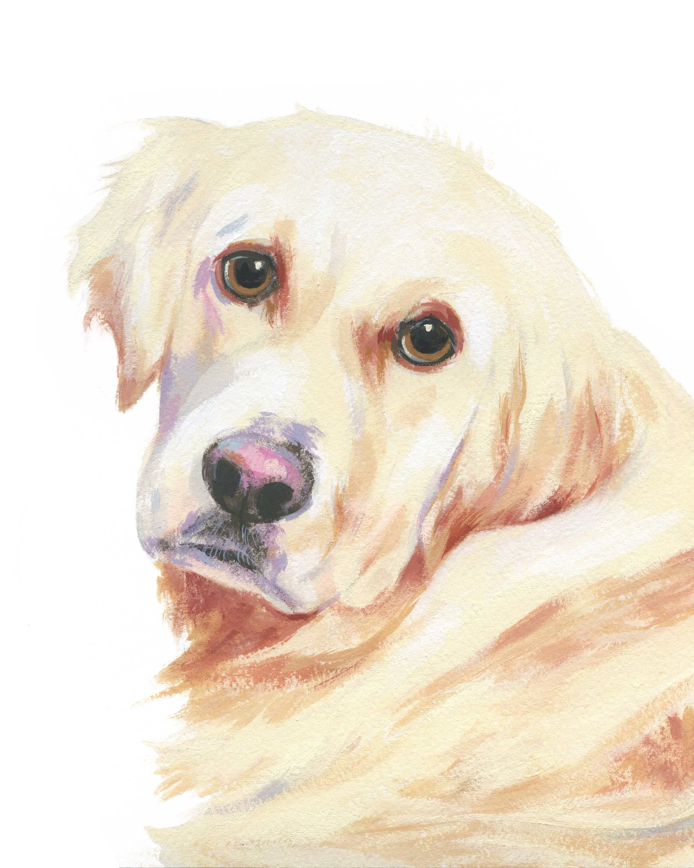 Pet+Portrait_Hannah+Bramble.webp