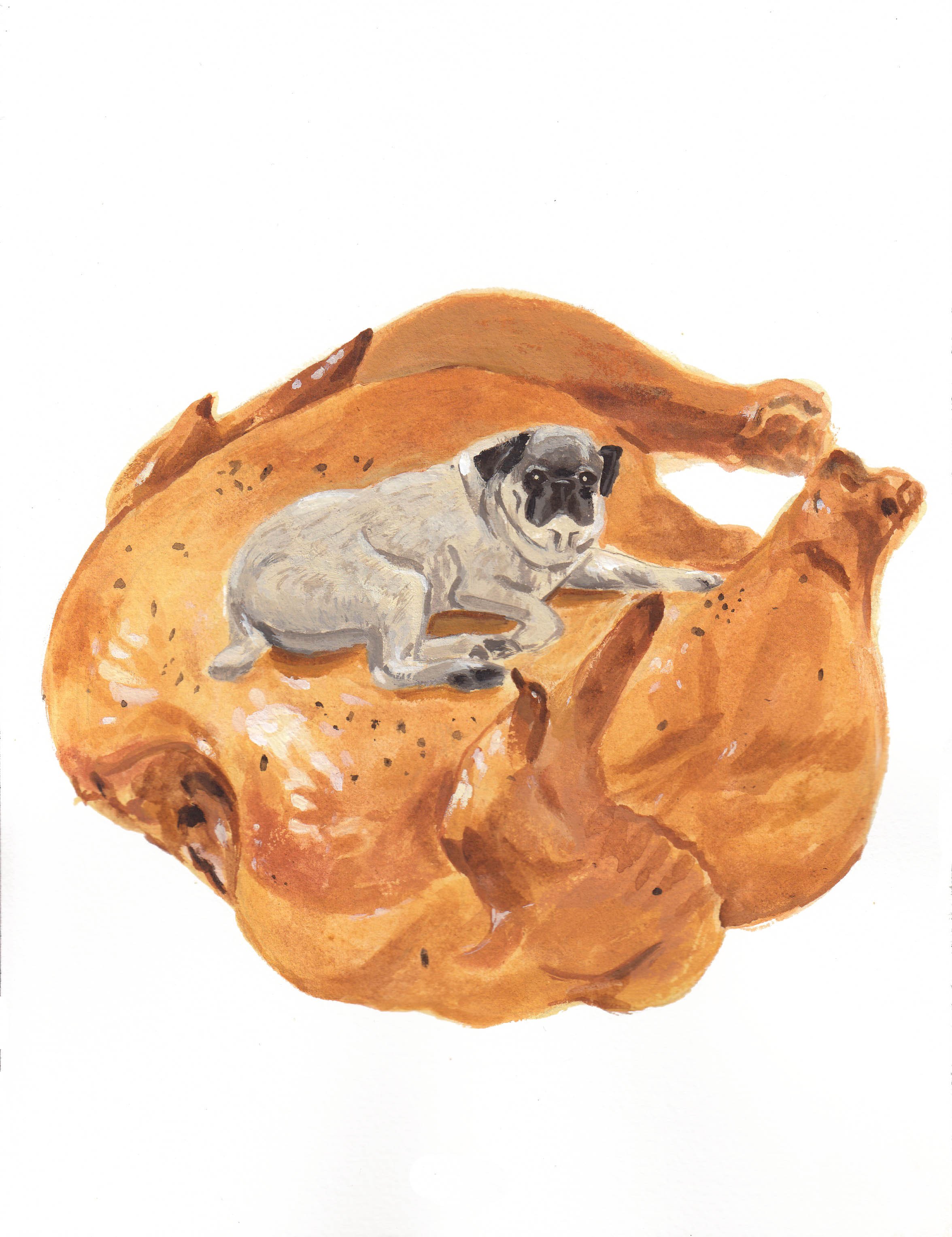 Pet Portrait_ALEX BLAGG.jpg