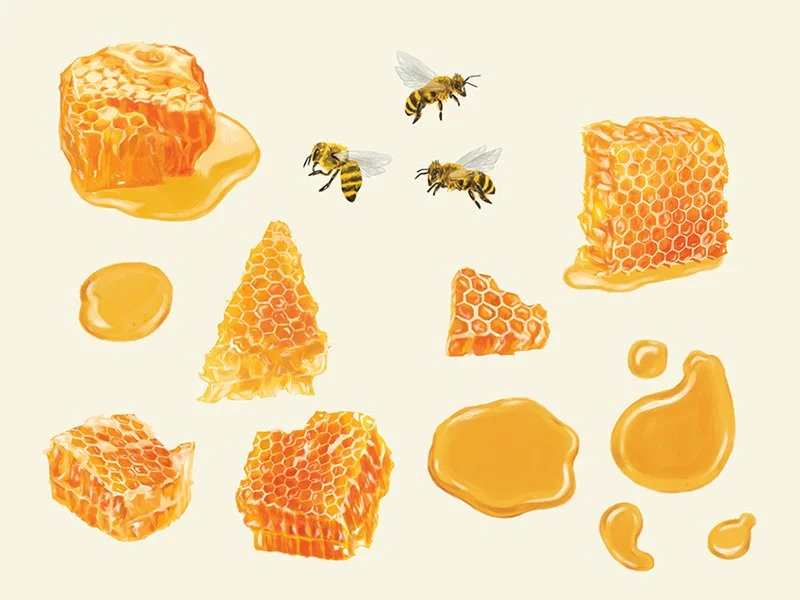 CHOBANI_Honey+Cream_New.jpg