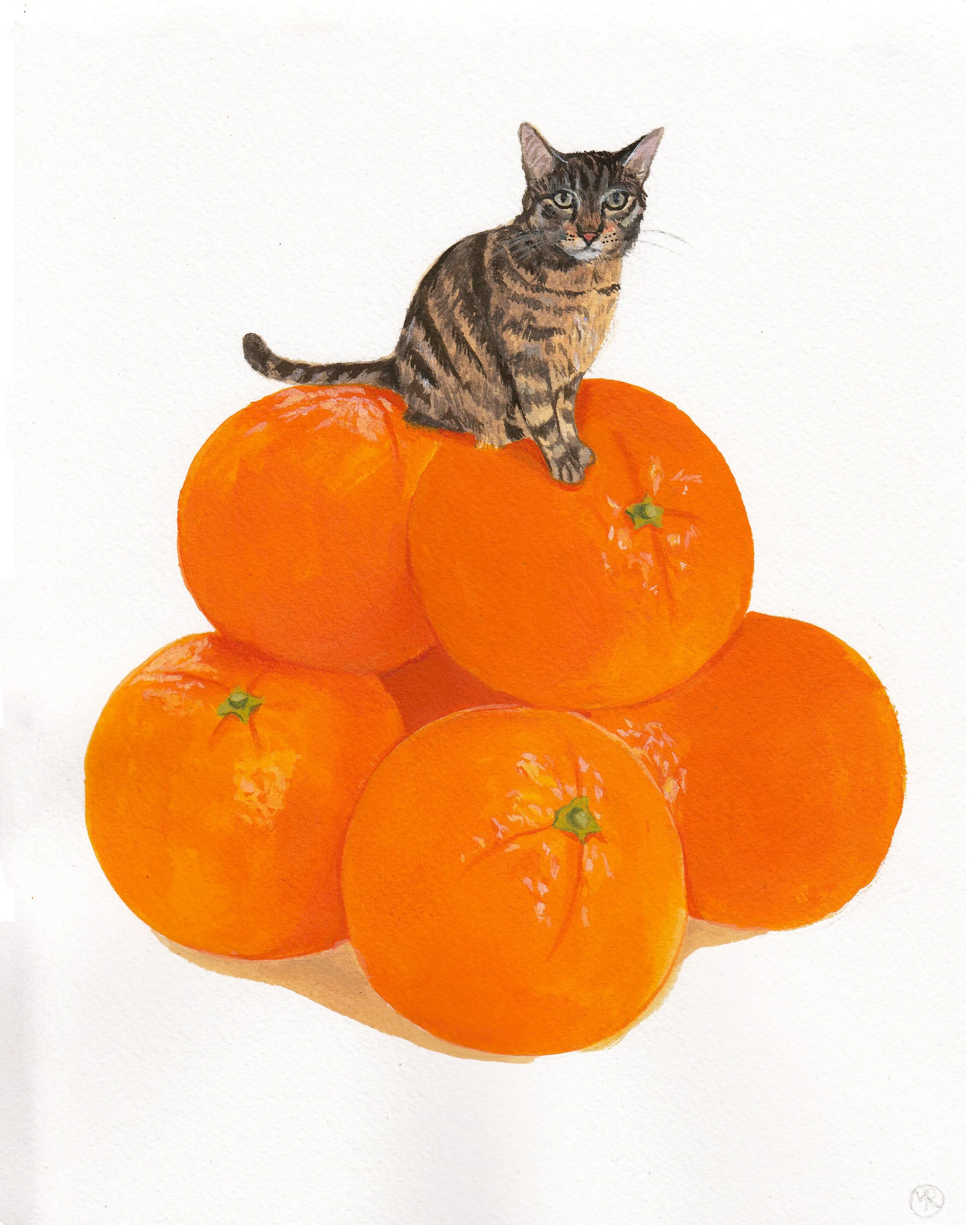 Pet Portrait_MARY LATTIMORE.jpg